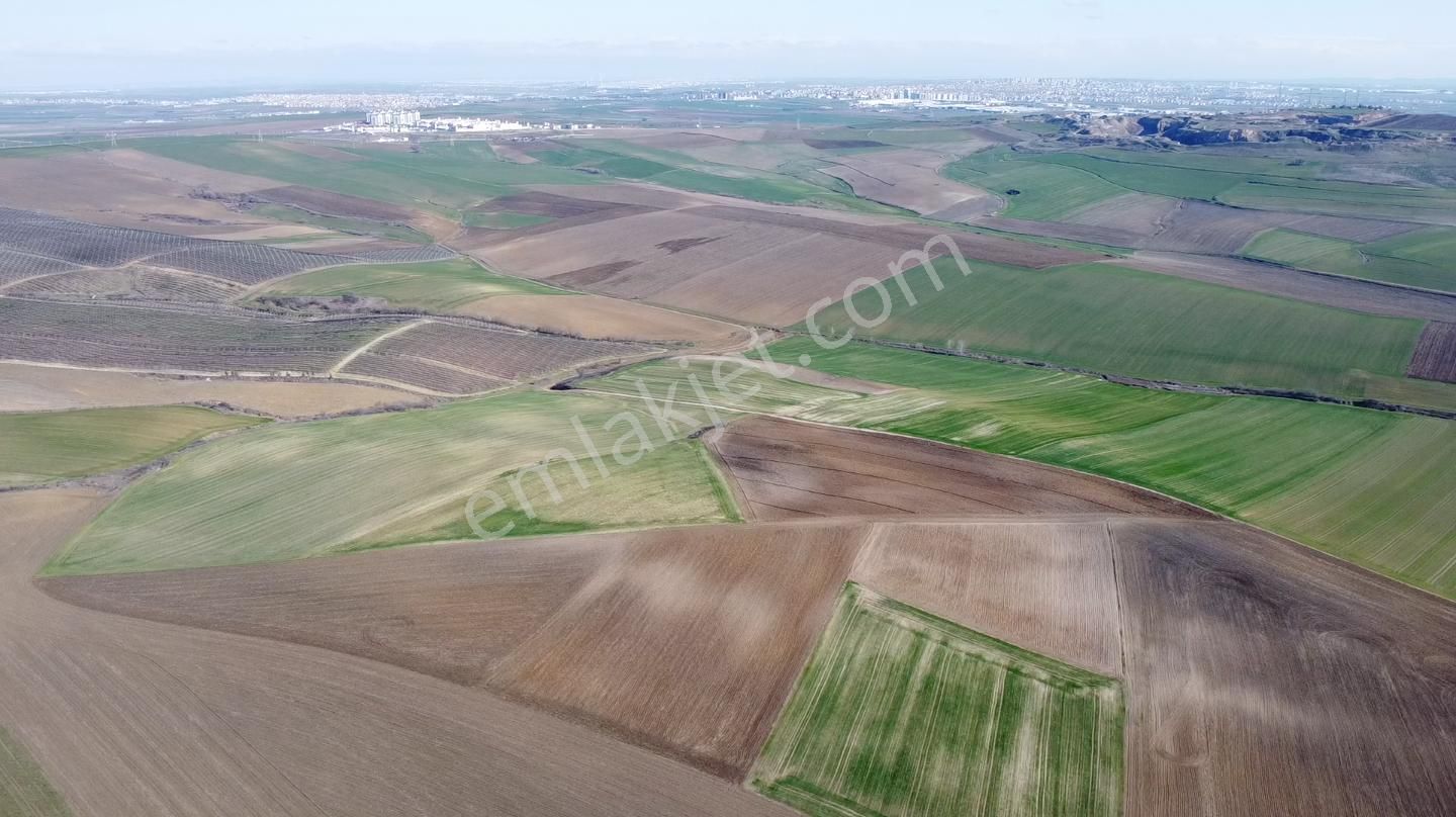 Çorlu Yenice Satılık Tarla Mayadan Yenice'de Köye Ve Caddeye Yakın Tarla