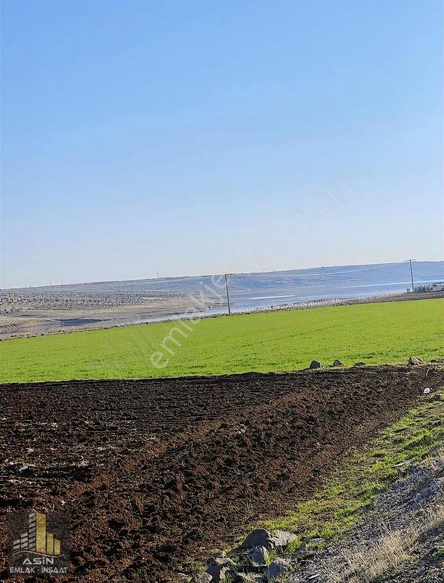 Kilis Merkez Küplüce Köyü Satılık Tarla Asin Gayrimenkul'den Antep Yolu Üstü Baraj Manzaralı