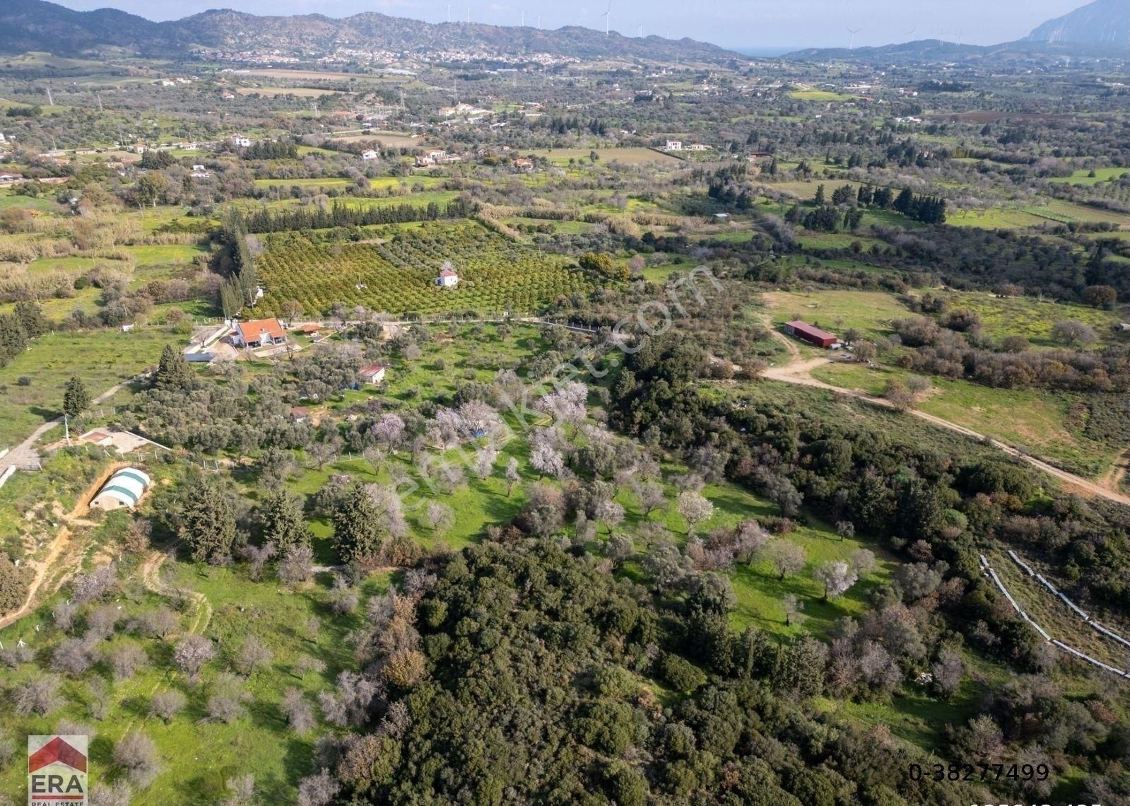 Datça Mahallesinde, 7.493 M2 İmar Sınırında Emsalsiz Arazi - Görsel 25