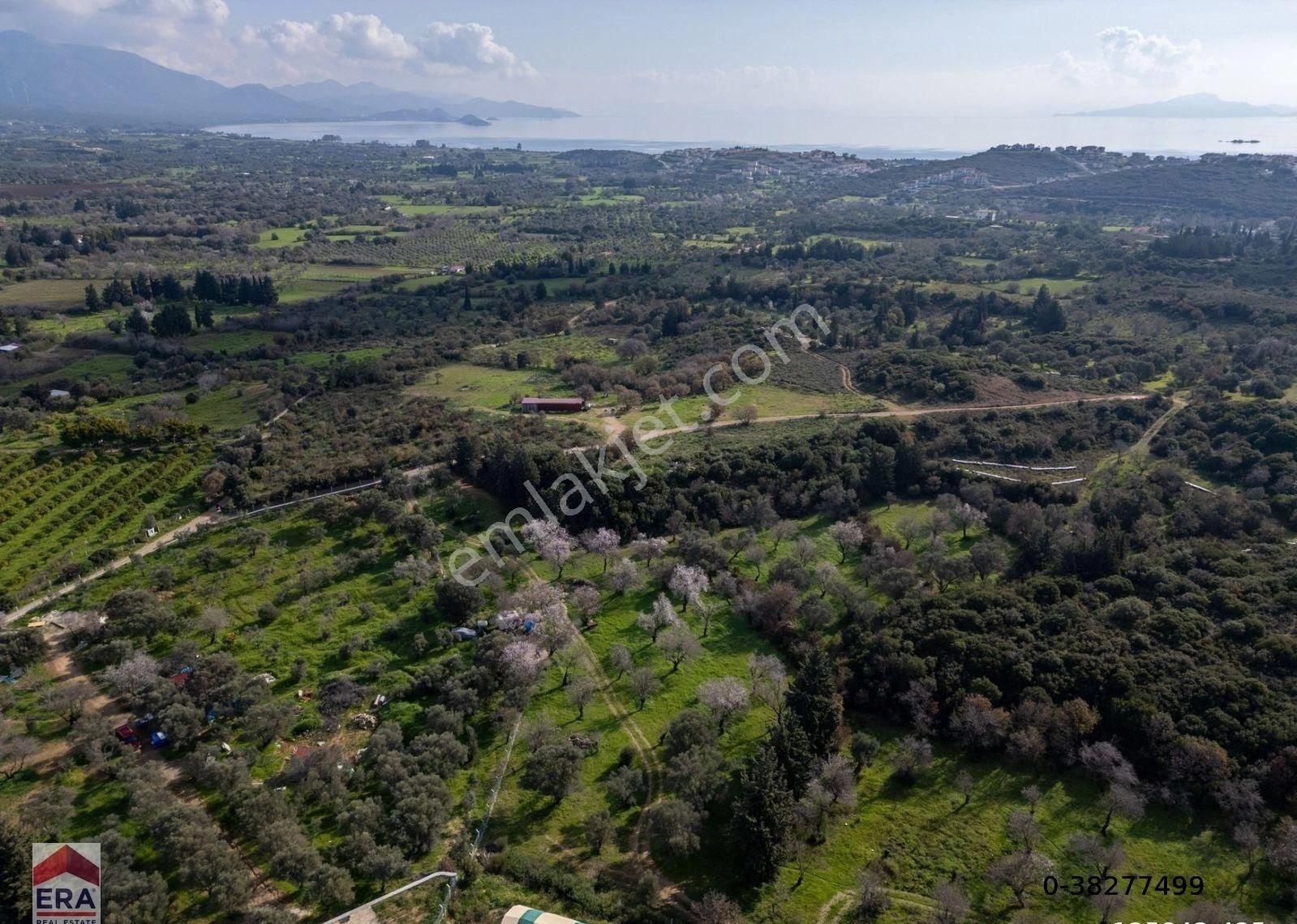 Datça Mahallesinde, 7.493 M2 İmar Sınırında Emsalsiz Arazi - Görsel 27