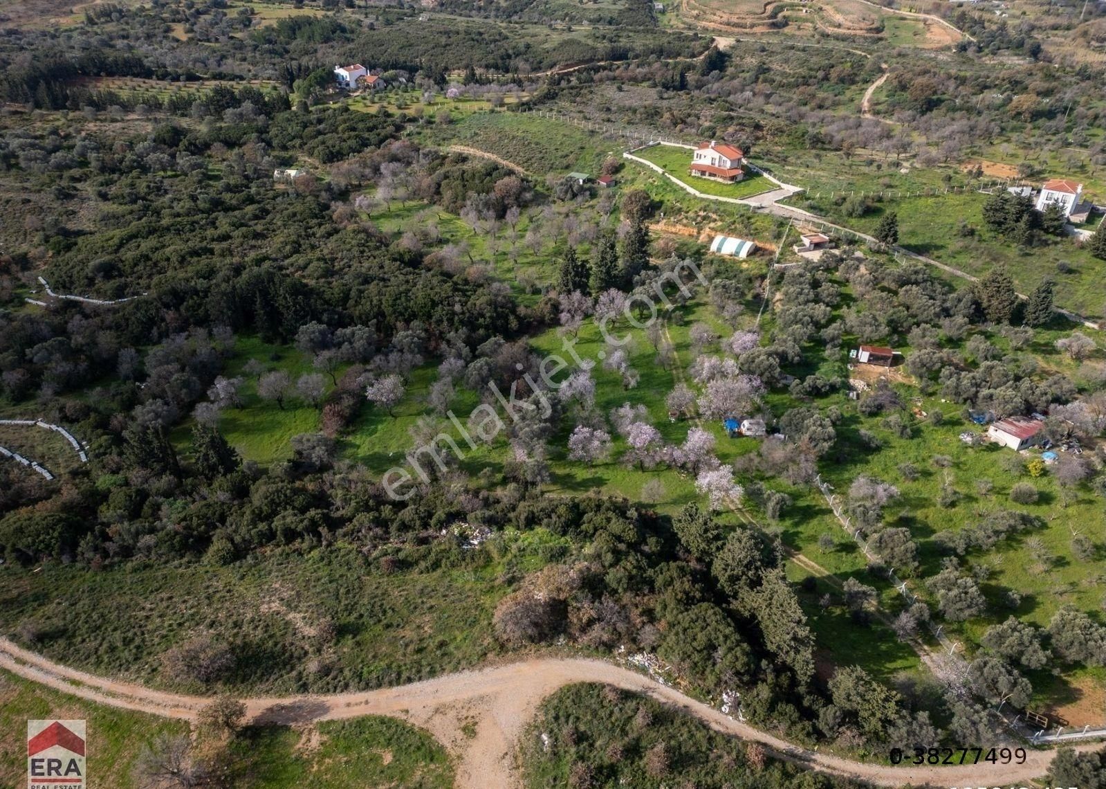 Datça Mahallesinde, 7.493 M2 İmar Sınırında Emsalsiz Arazi - Görsel 7