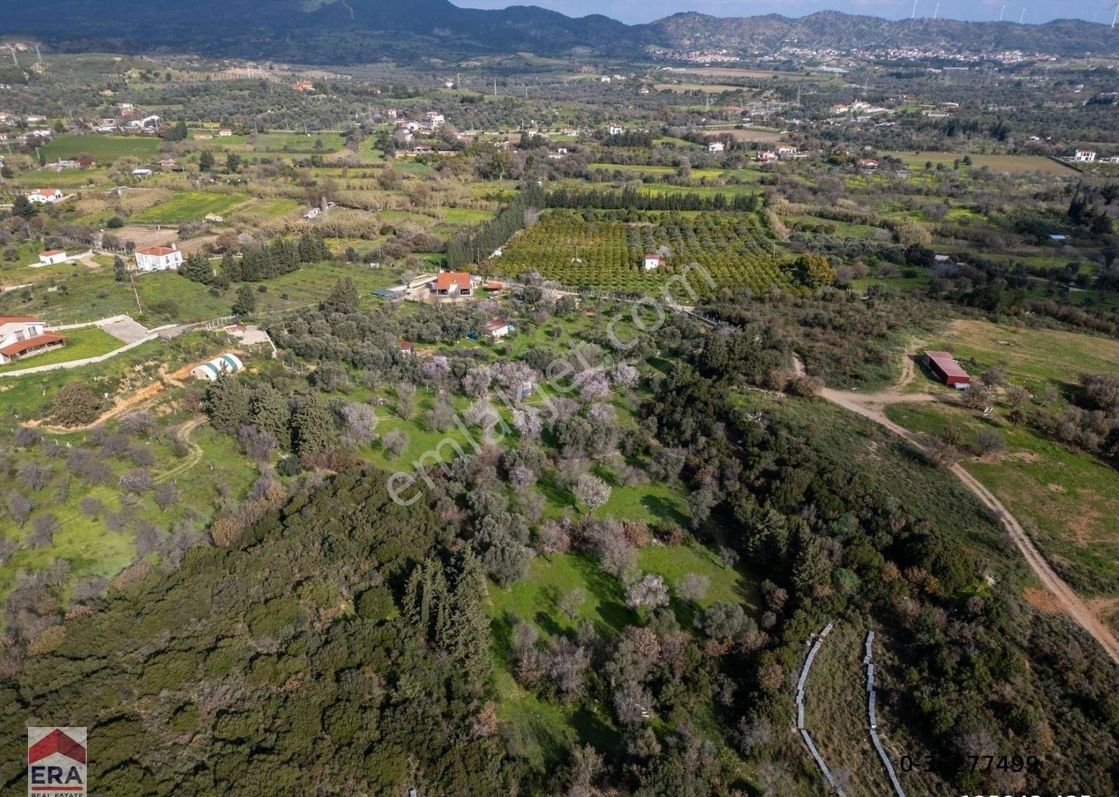 Datça Mahallesinde, 7.493 M2 İmar Sınırında Emsalsiz Arazi - Görsel 9