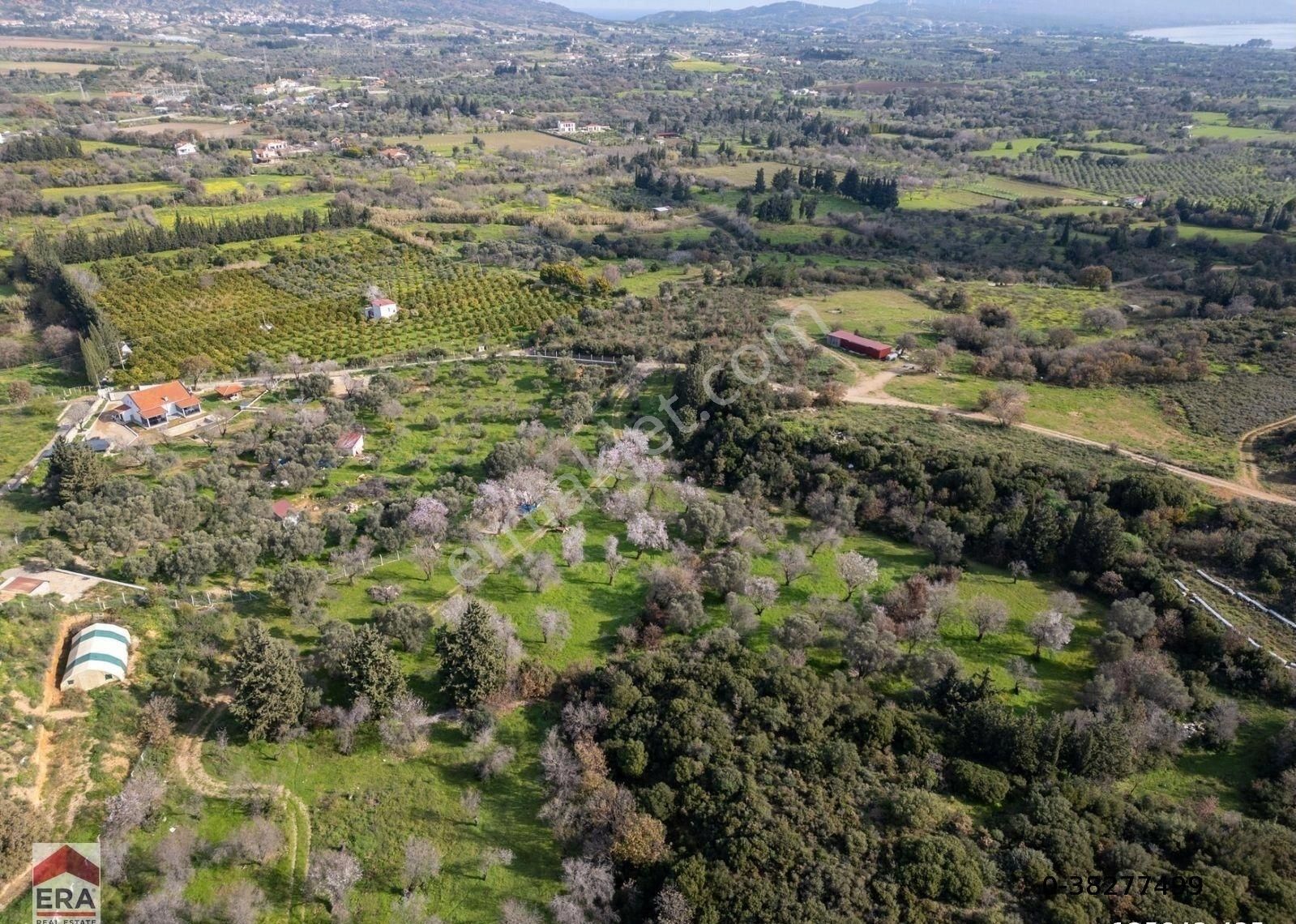 Datça Mahallesinde, 7.493 M2 İmar Sınırında Emsalsiz Arazi - Görsel 8