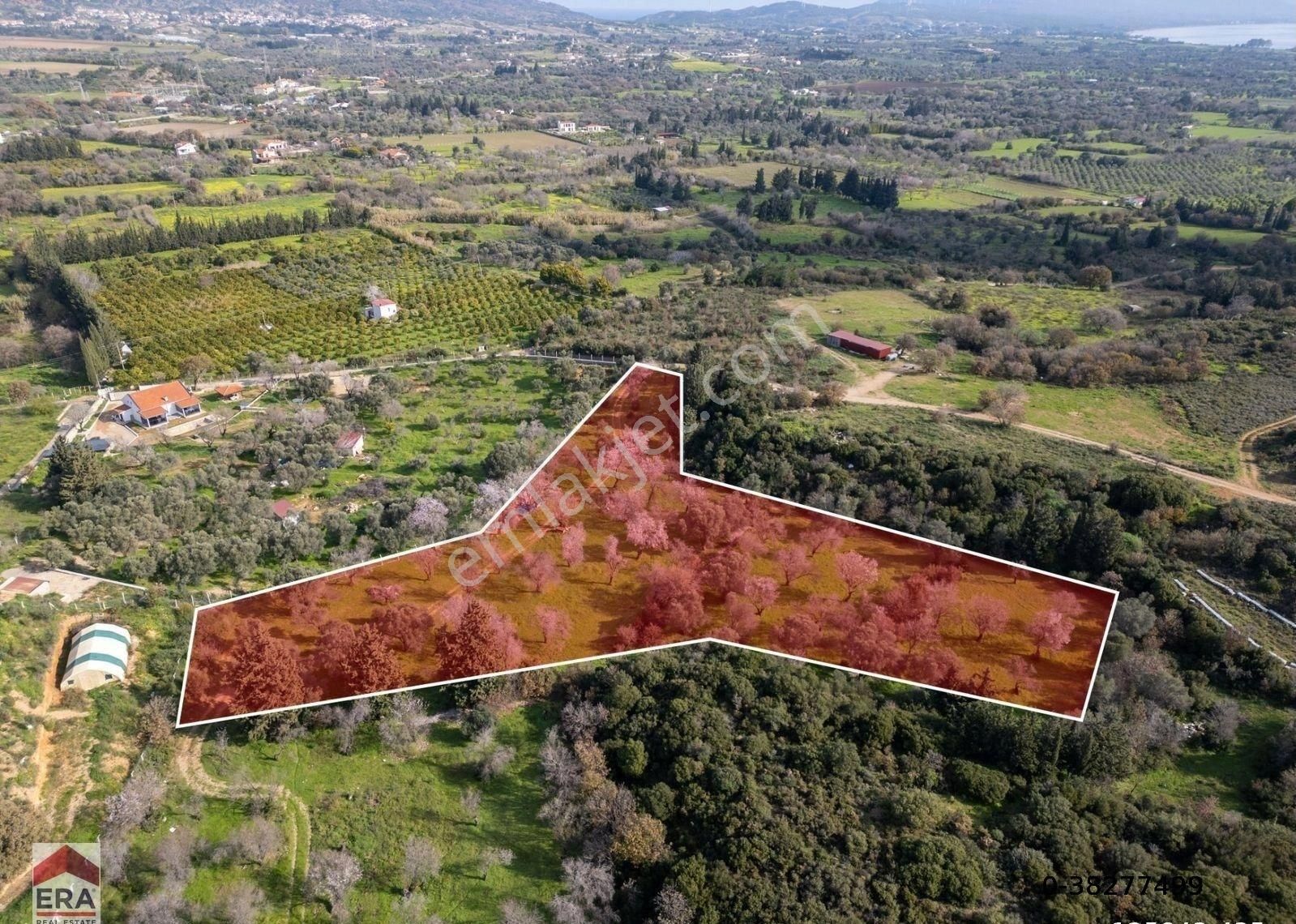 Datça Mahallesinde, 7.493 M2 İmar Sınırında Emsalsiz Arazi - Görsel 31