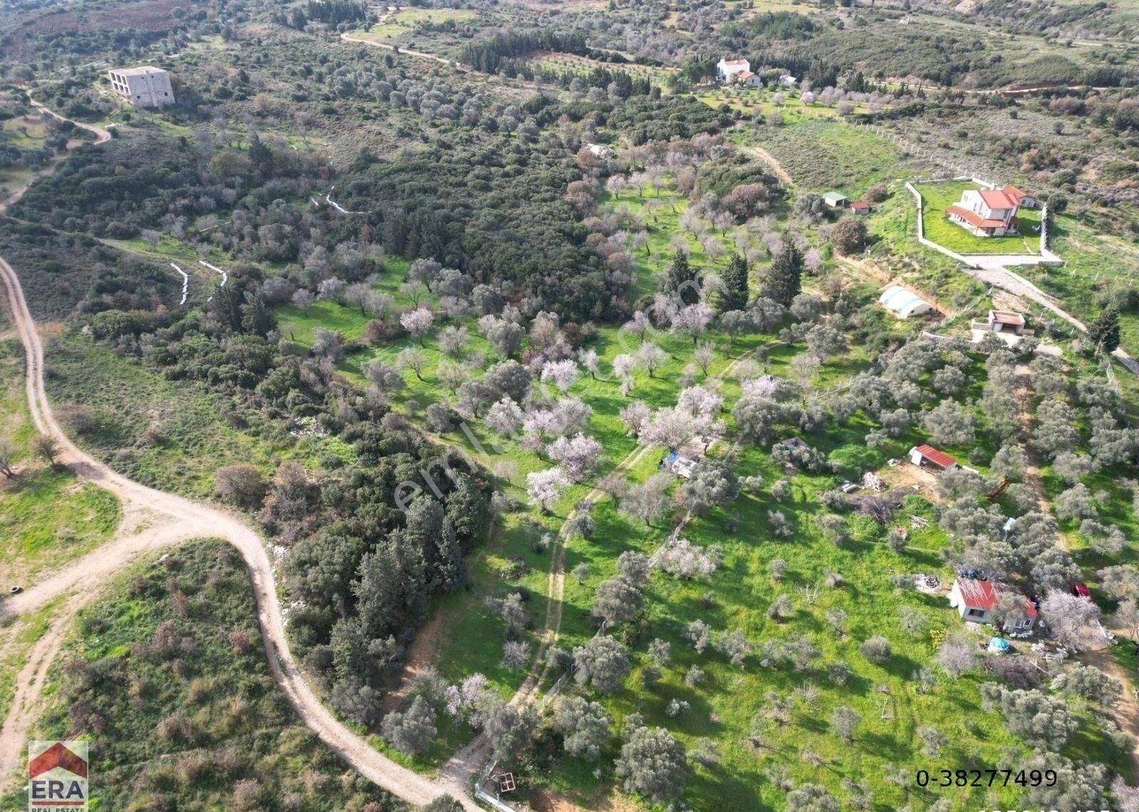 Datça Mahallesinde, 7.493 M2 İmar Sınırında Emsalsiz Arazi - Görsel 34