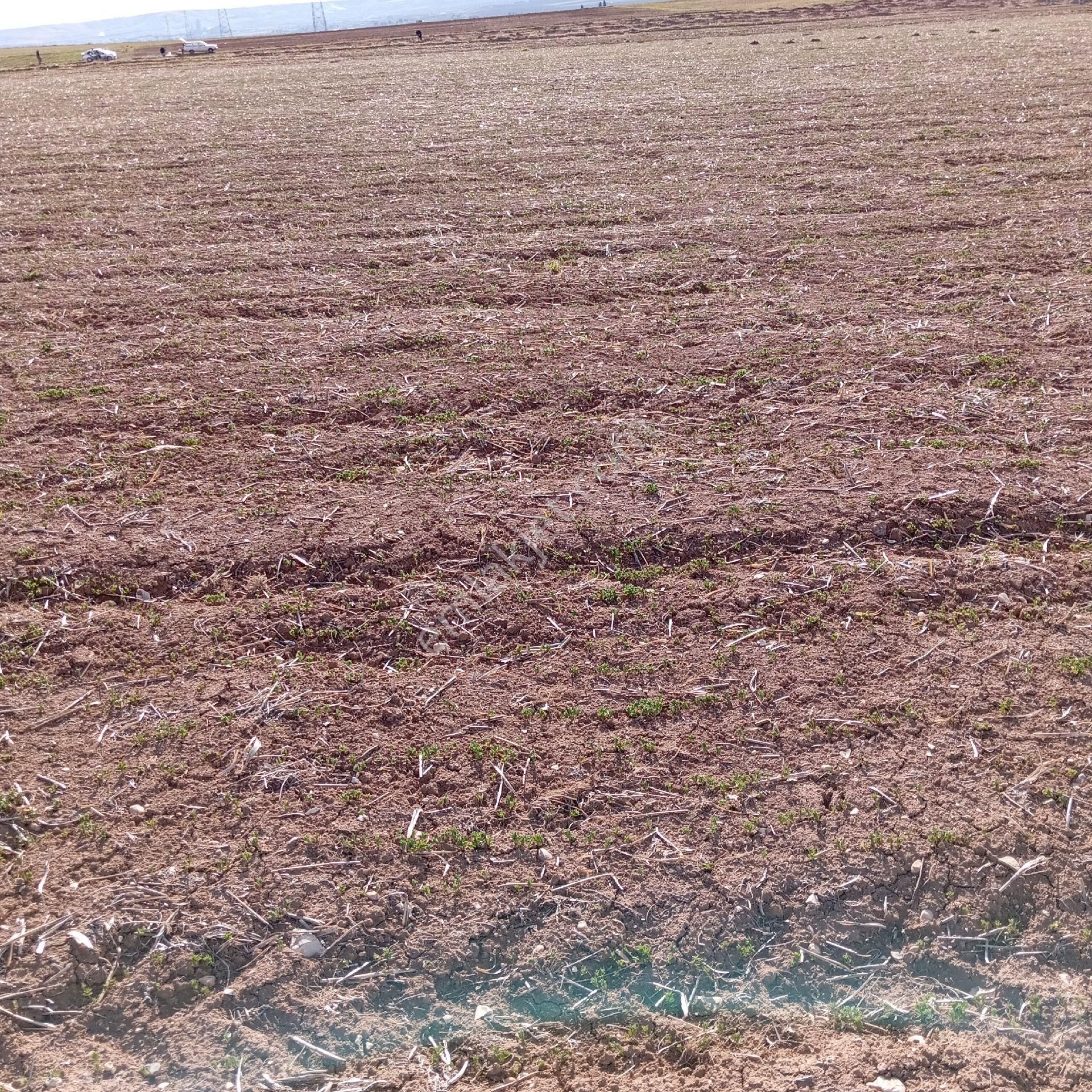 Akziyaret Emlak Tan Satılık Parseller - Görsel 6