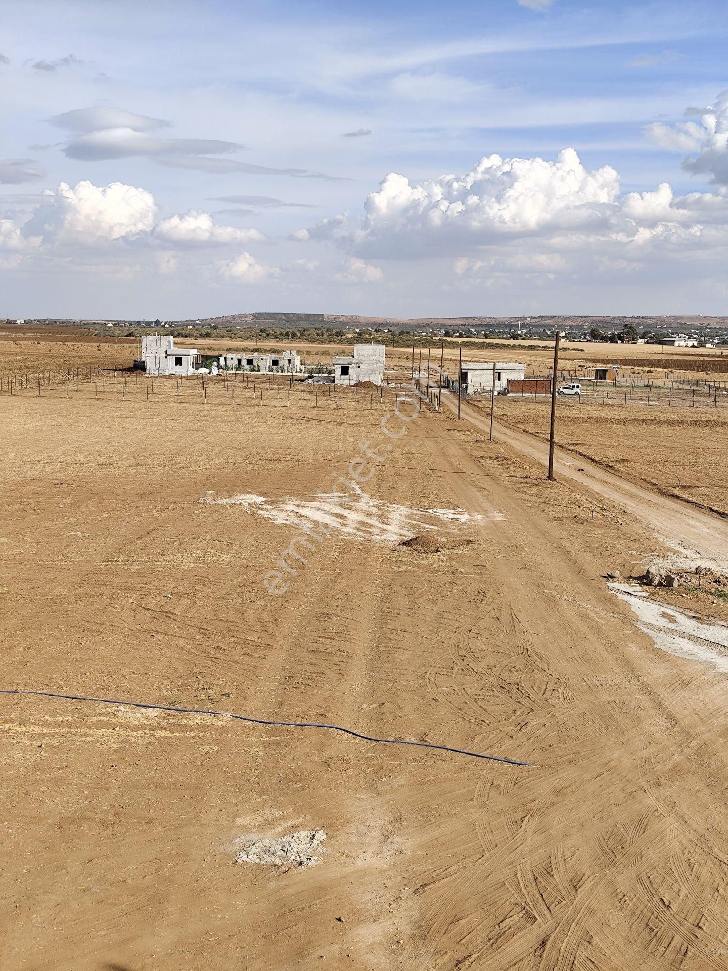 Akziyaret Emlak Tan Satılık Parseller - Görsel 8