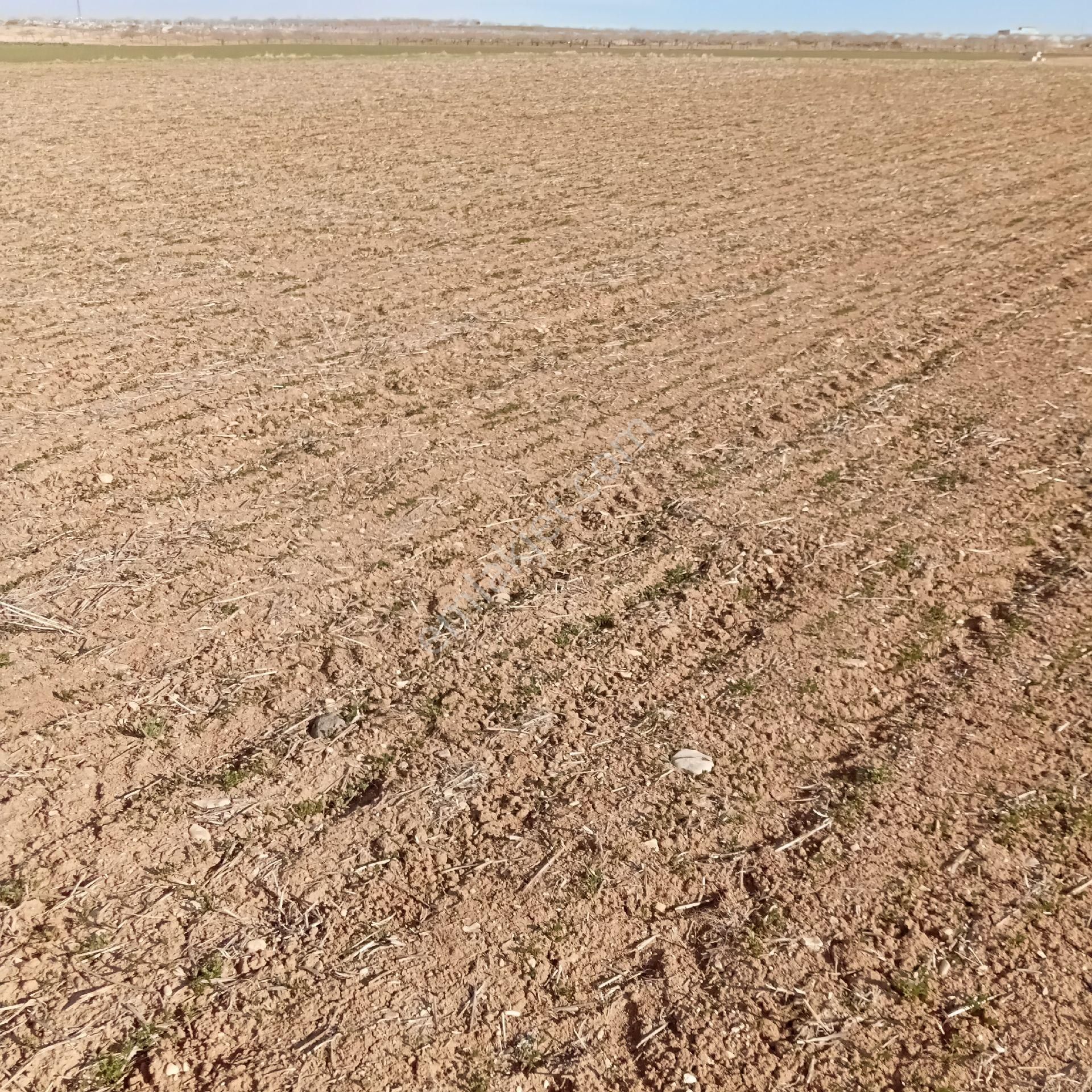 Akziyaret Emlak Tan Satılık Parseller - Görsel 7