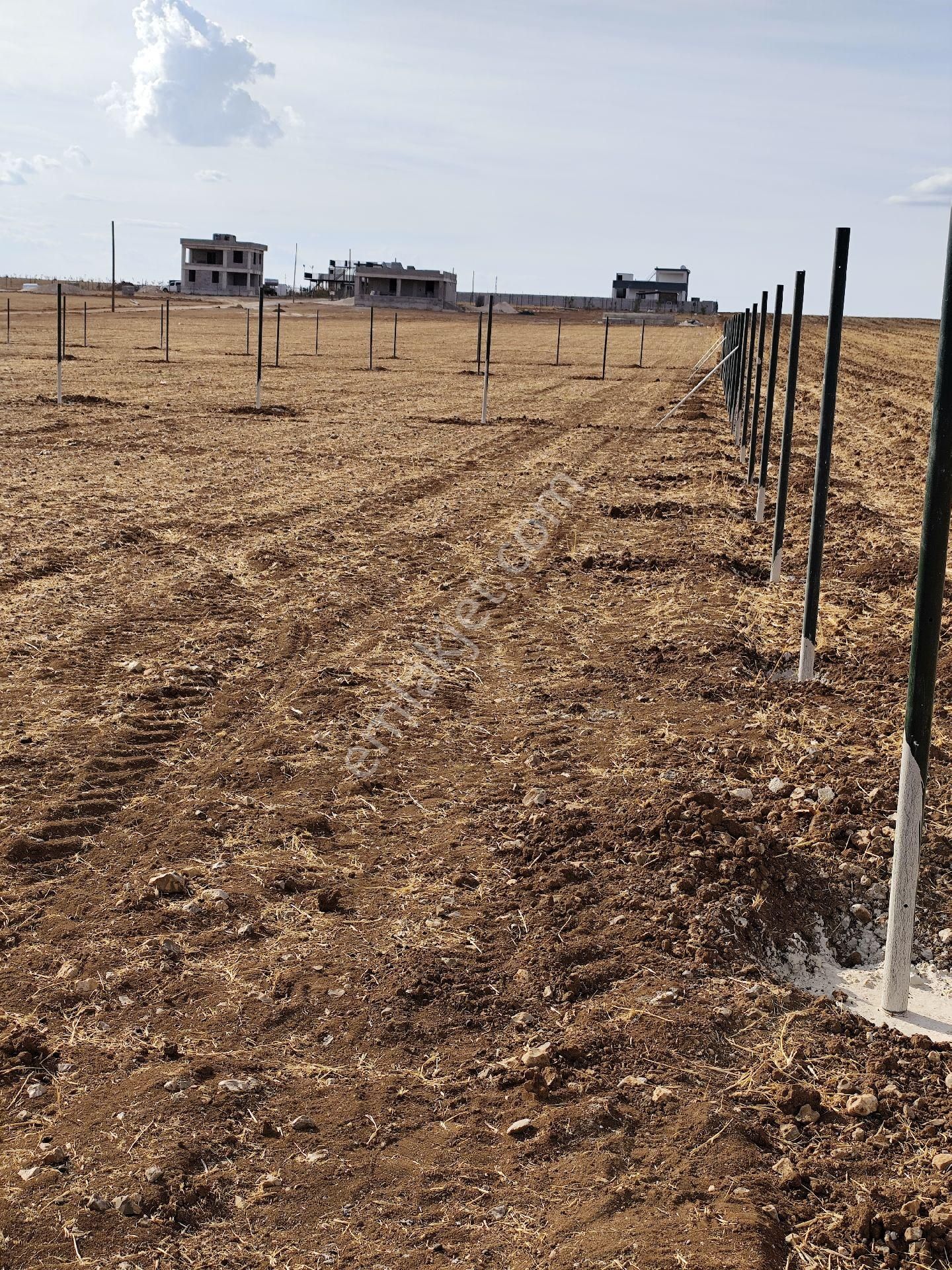 Akziyaret Emlak Tan Satılık Parseller