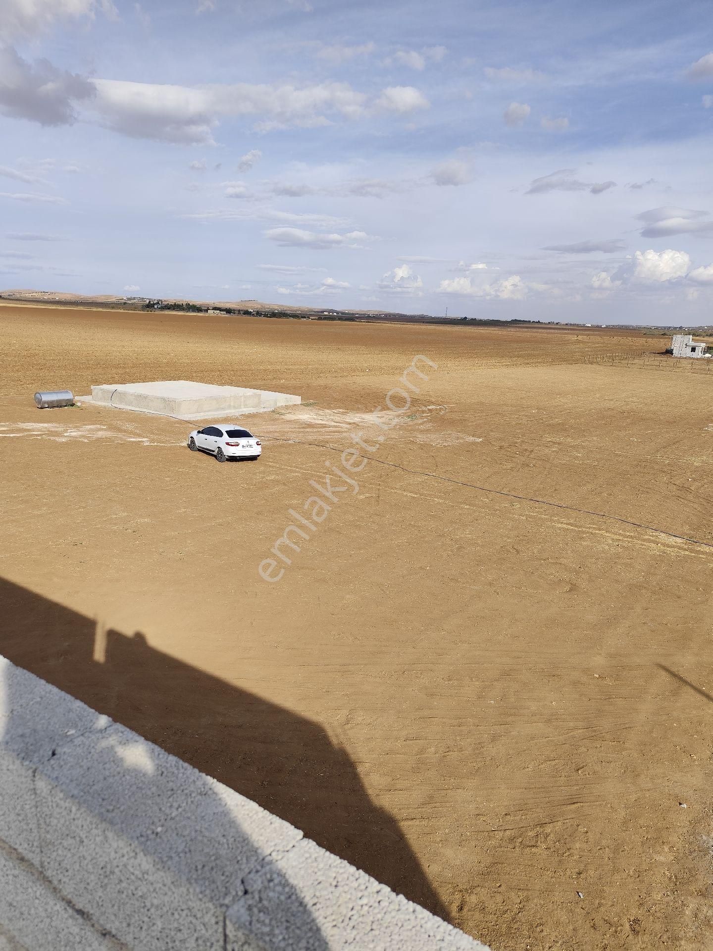 Akziyaret Emlak Tan Satılık Parseller - Görsel 9