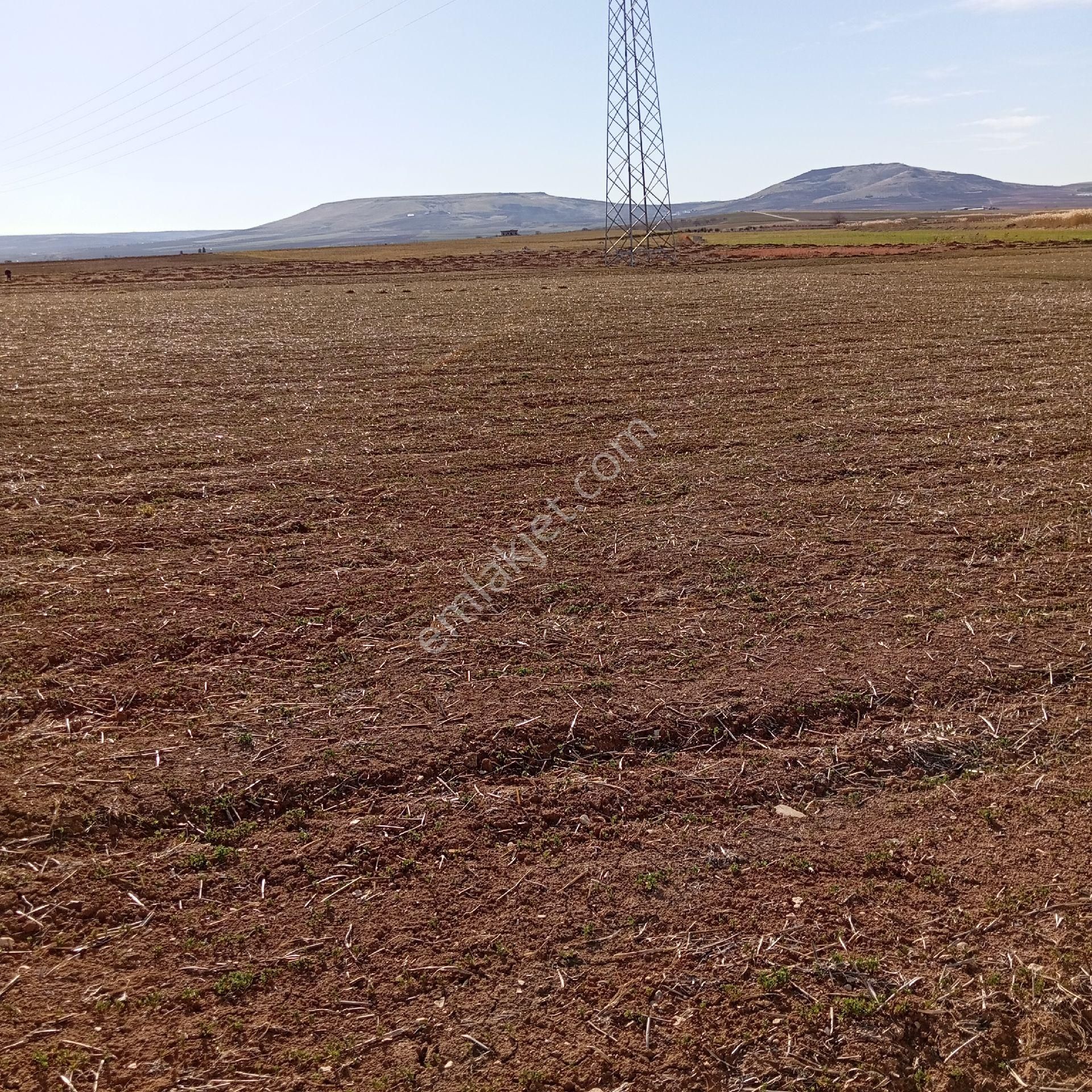 Akziyaret Emlak Tan Satılık Parseller - Görsel 5