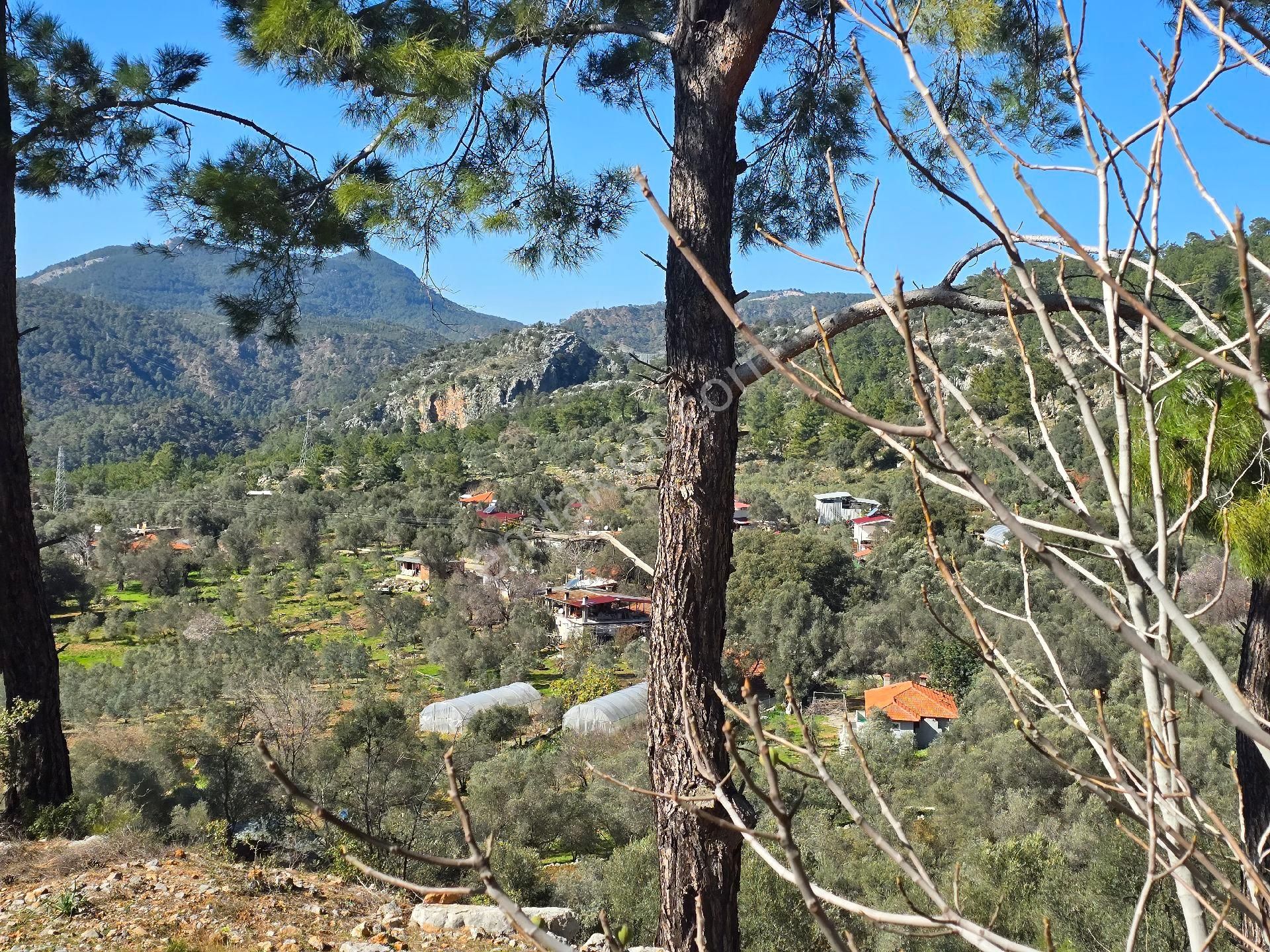 Dalaman Kayadibi Satılık Tarla Dalaman Kayadibi Mah Müstakil Tapulu Satılık Tarla