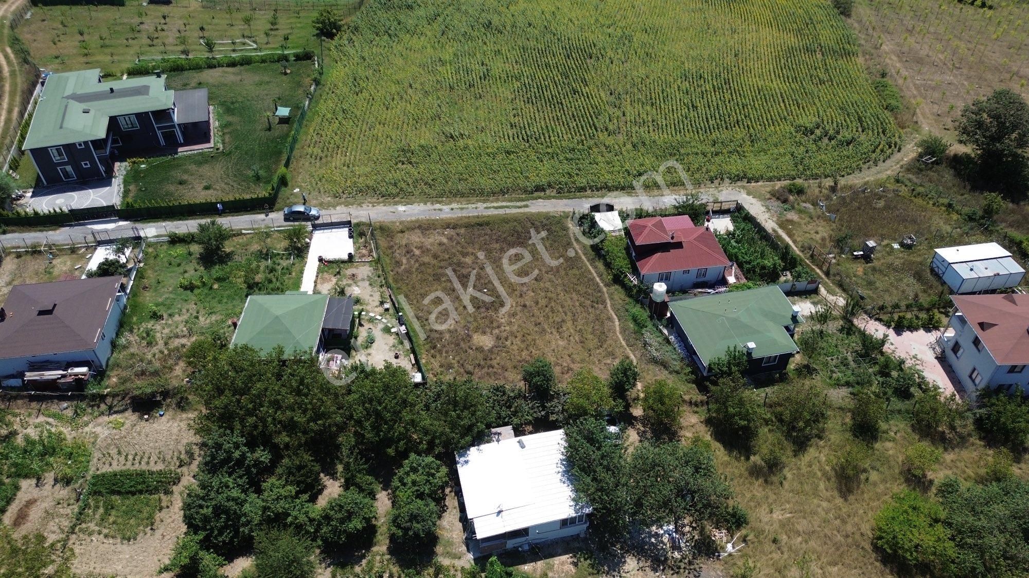 Çatalca Hisarbeyli’de 943m2,doğalgazı Olan Satılık Arsa - Görsel 4