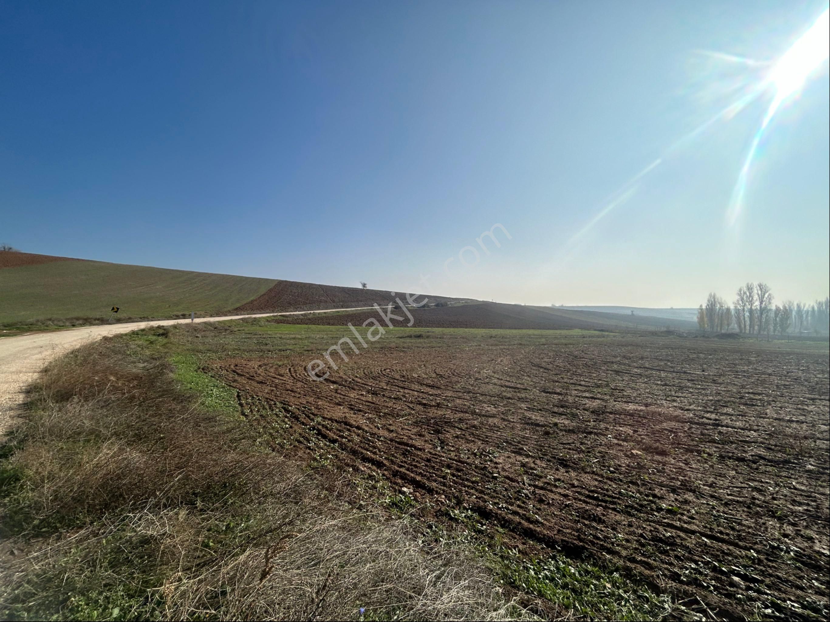 Lider Gruptan Yenişehir Barcında Asvalt Yola Cephe Satılık Tarla - Görsel 12