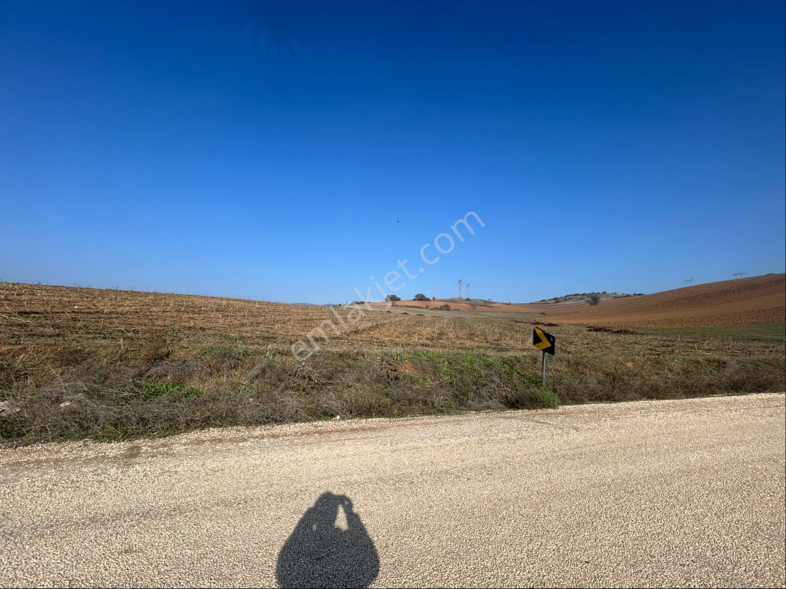 Lider Gruptan Yenişehir Barcında Asvalt Yola Cephe Satılık Tarla - Görsel 8