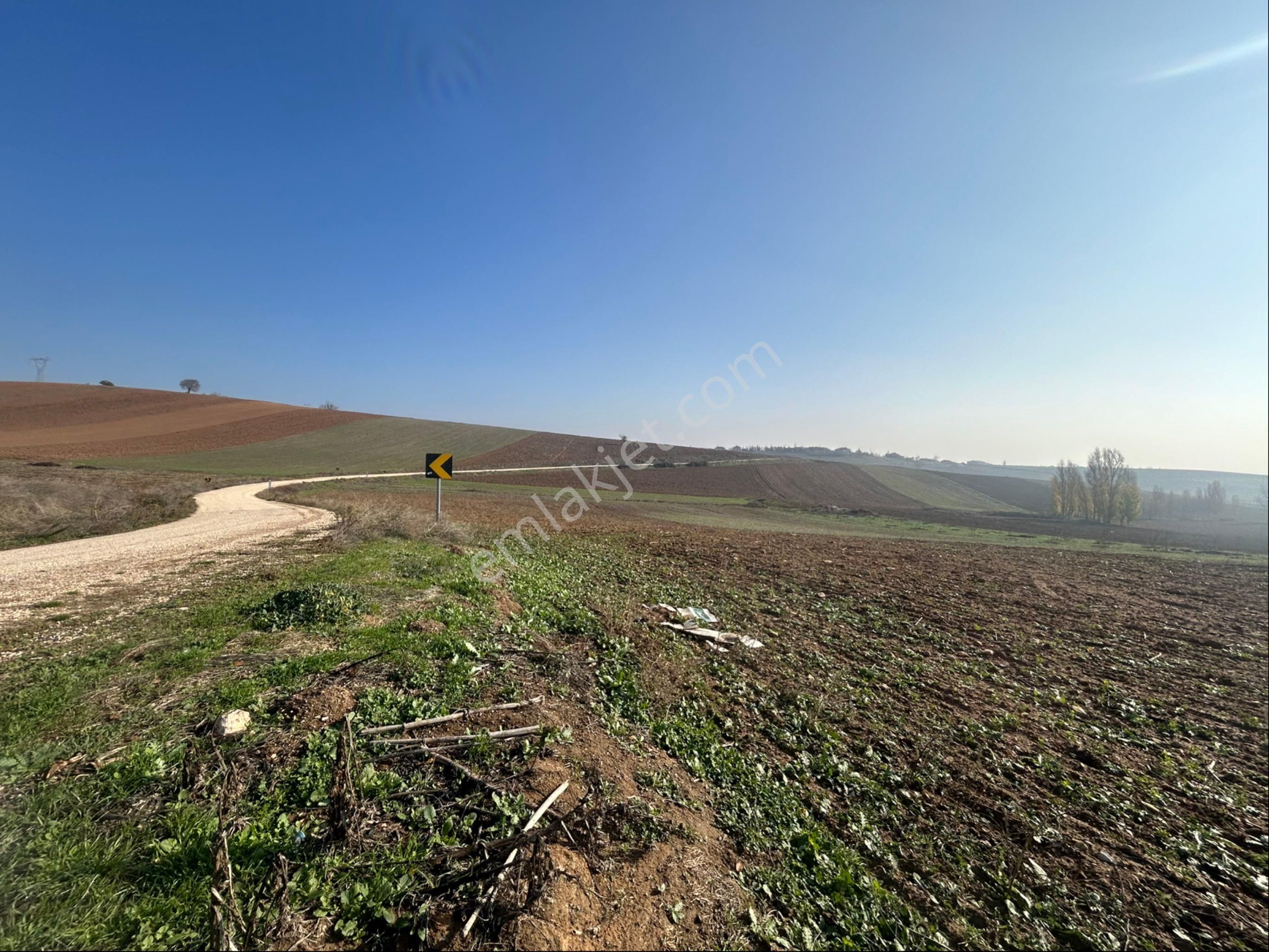 Lider Gruptan Yenişehir Barcında Asvalt Yola Cephe Satılık Tarla - Görsel 3