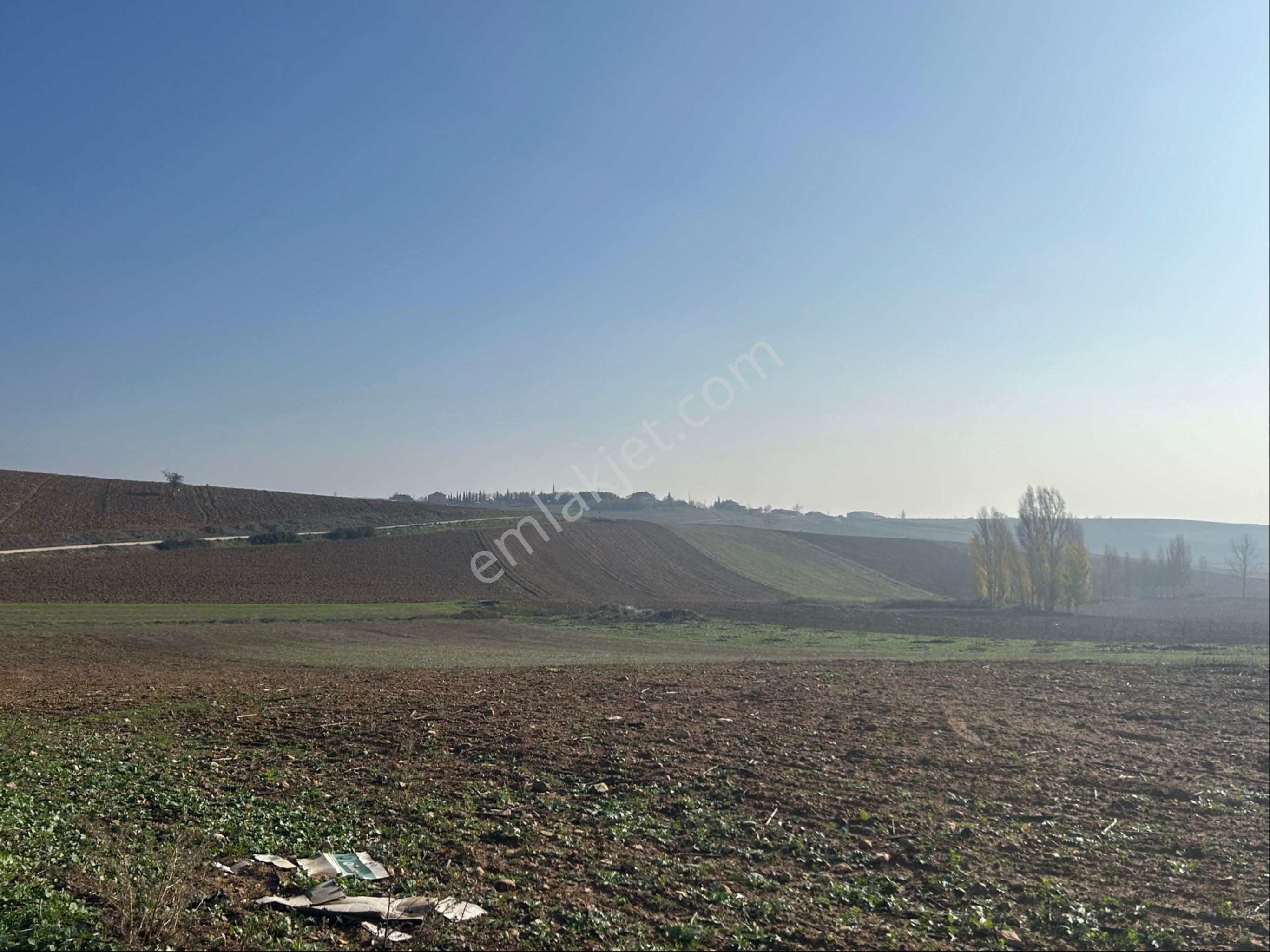 Lider Gruptan Yenişehir Barcında Asvalt Yola Cephe Satılık Tarla - Görsel 4