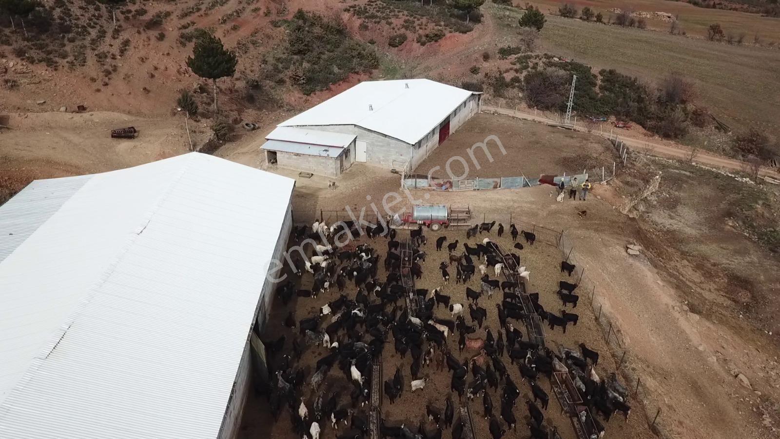 Çavdar Emlak’tan Satılık Çiftlik, Çoban Evi Ve Arazileri - Görsel 5