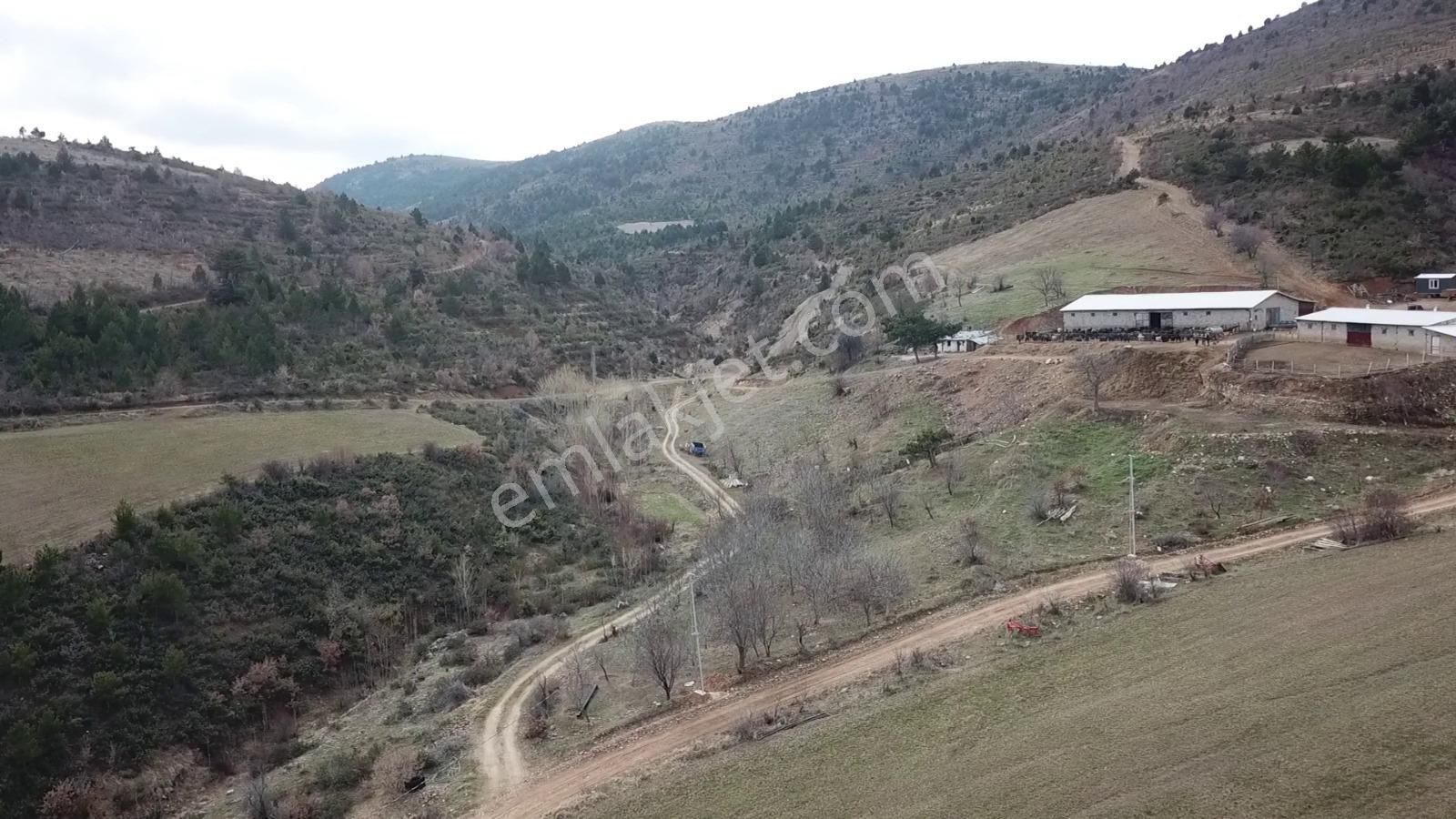 Çavdar Emlak’tan Satılık Çiftlik, Çoban Evi Ve Arazileri - Görsel 12