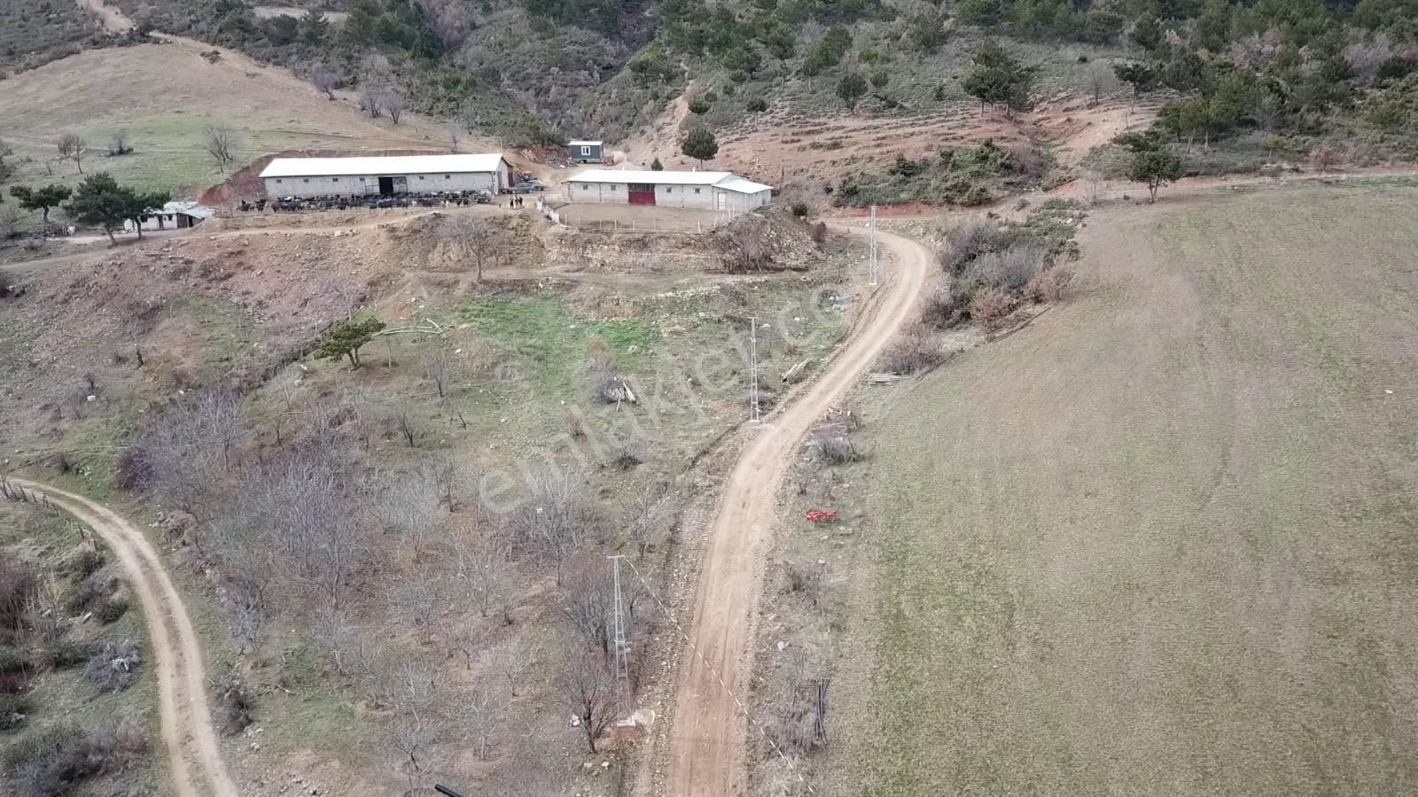 Çavdar Emlak’tan Satılık Çiftlik, Çoban Evi Ve Arazileri - Görsel 3