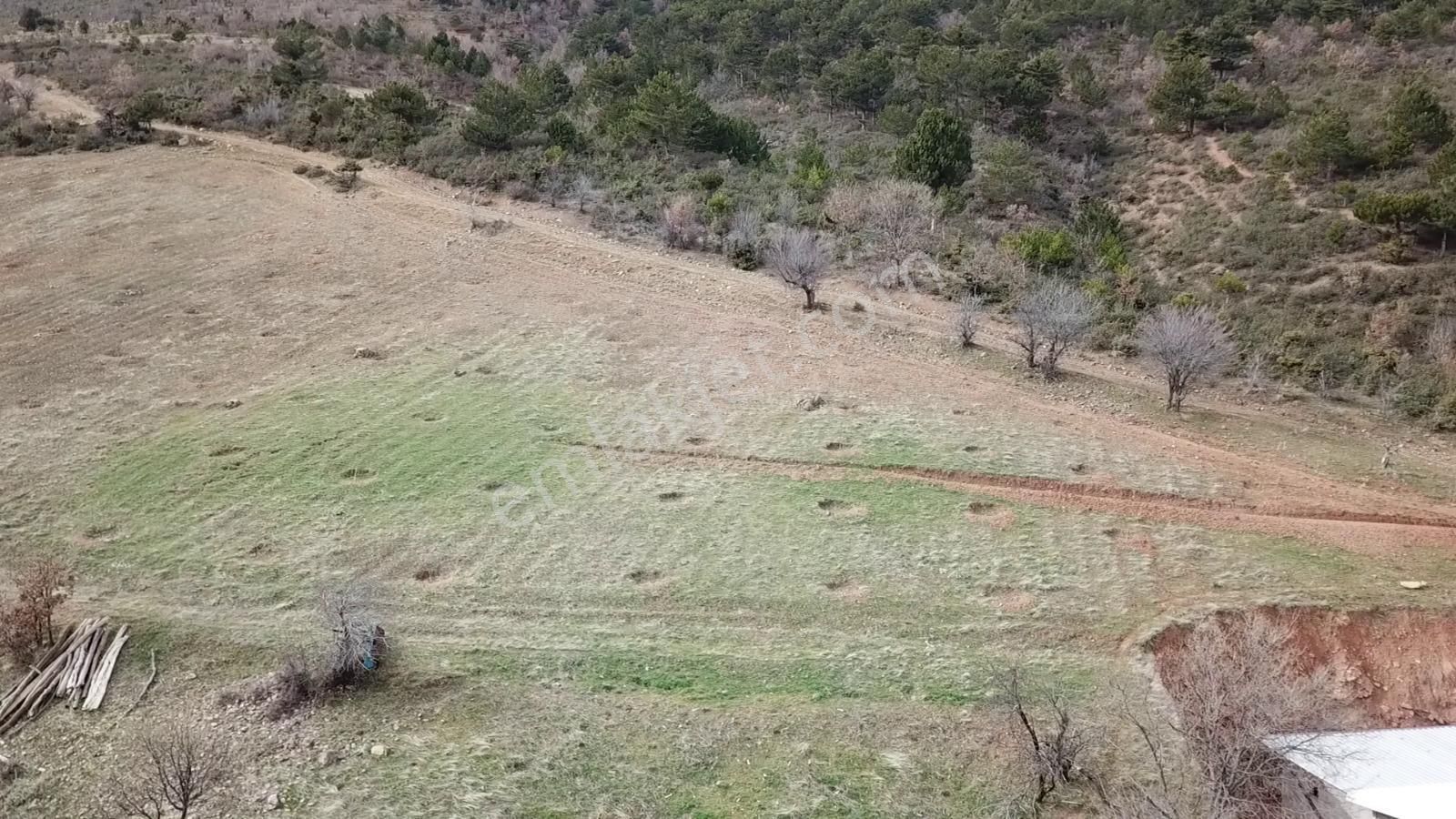 Çavdar Emlak’tan Satılık Çiftlik, Çoban Evi Ve Arazileri - Görsel 8