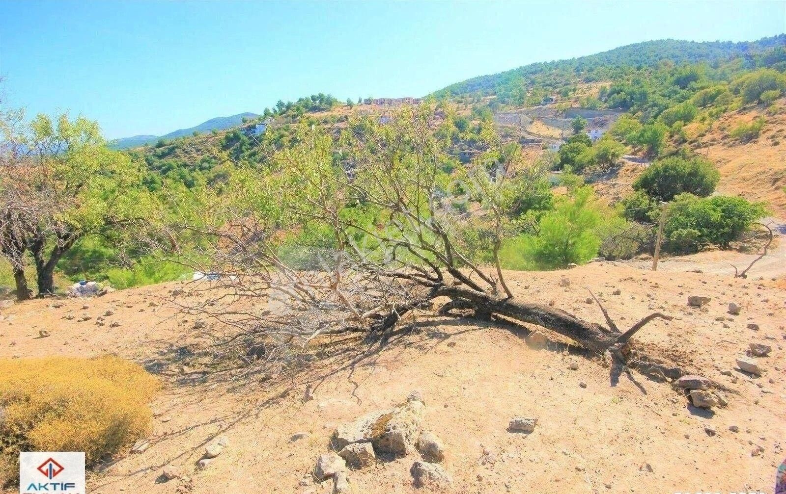 Burhaniye Çallı Satılık Bağ & Bahçe 🔺🔻aktif'ten Burhaniye Çallı Köyünde 171 M2 Kadastro Yolu Olan Sorunsuz Satılık Tarla 🔻🔺