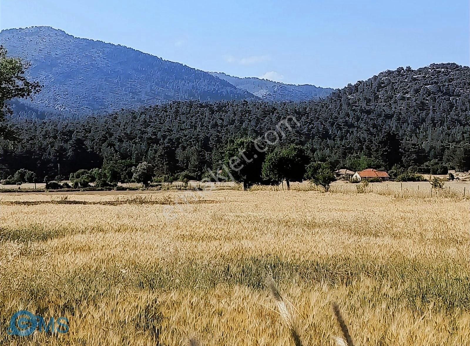 Bucak Karaot Köyü (Köletaşı) Satılık Tarla Burdur Bucakkaraot Mahde 12695m2 Köy İmarı İçinde Etrafı Çevrili