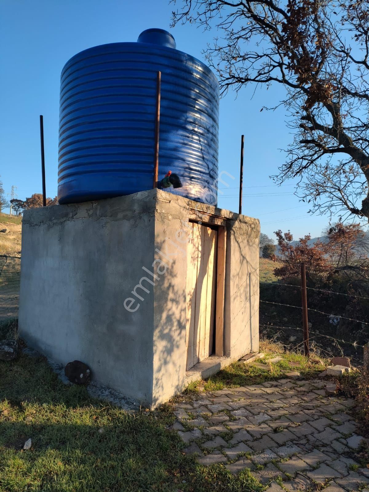 Bergama Gaylan Satılık Bağ & Bahçe Bergama Gaylan Mahallesinde Satılık Zeytinlik