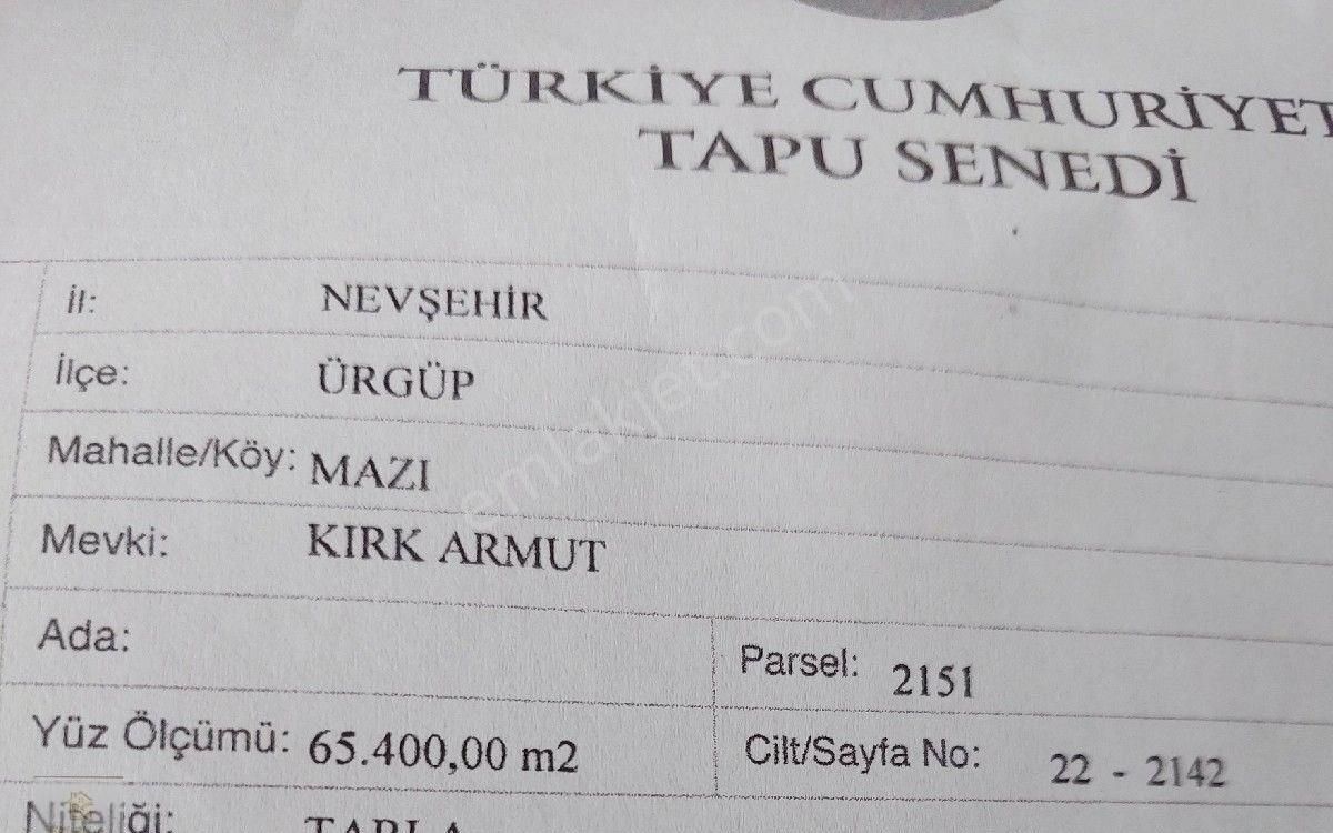 Ürgüp Mazı Köyü Satılık Tarla Bg Emlaktan 65400 Metrekare Satılik Arazi