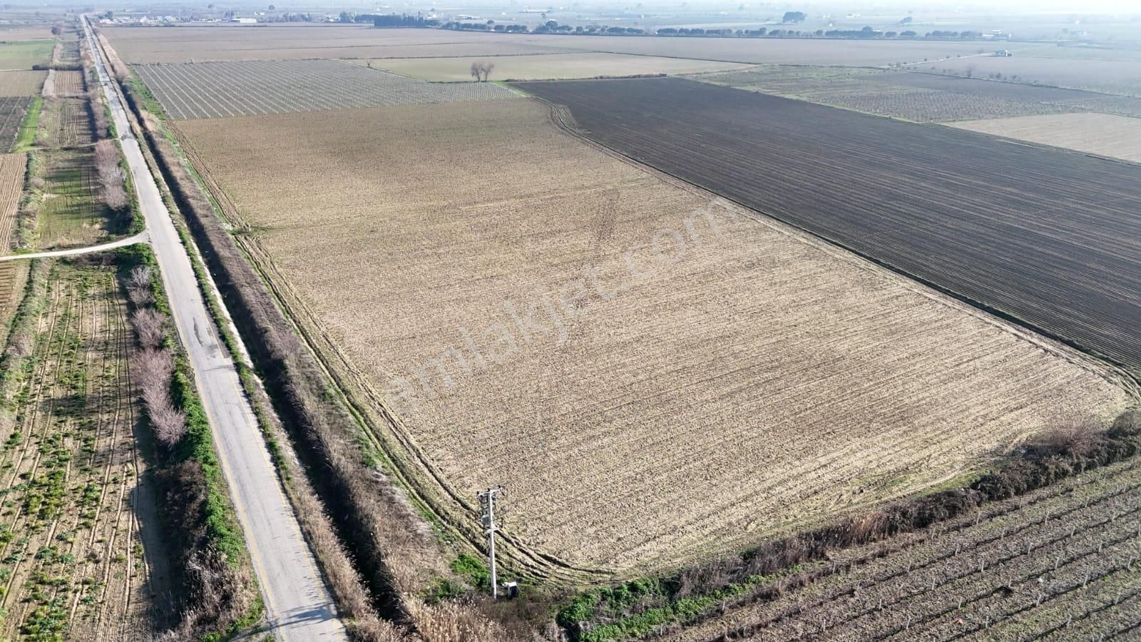 Şehzadeler Yeniharmandalı Satılık Tarla Yeni Harmandalı Köyünde Elektrik Ve Su Altyapılı Tarla