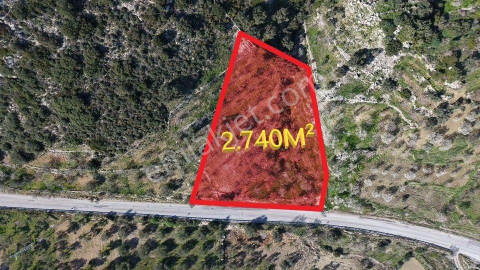 Datça Sındı Satılık Tarla Datça, Sındı Mahallesinde Ana Yola Sıfır 2740 M².lik Arazi