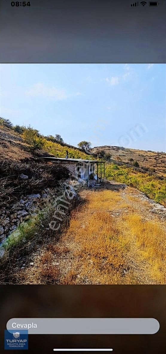 Yeşilyurt Aşağı Bağlar Satılık Bağ & Bahçe Turyap Anka'dan Konak'ta Satılık Üzüm Bağı