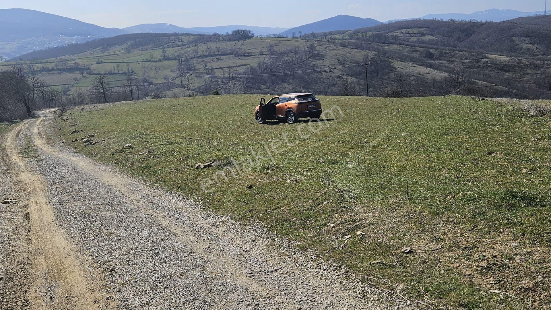 Samsun Kavak Demirci Köyü Satılık Tarla - Görsel 5