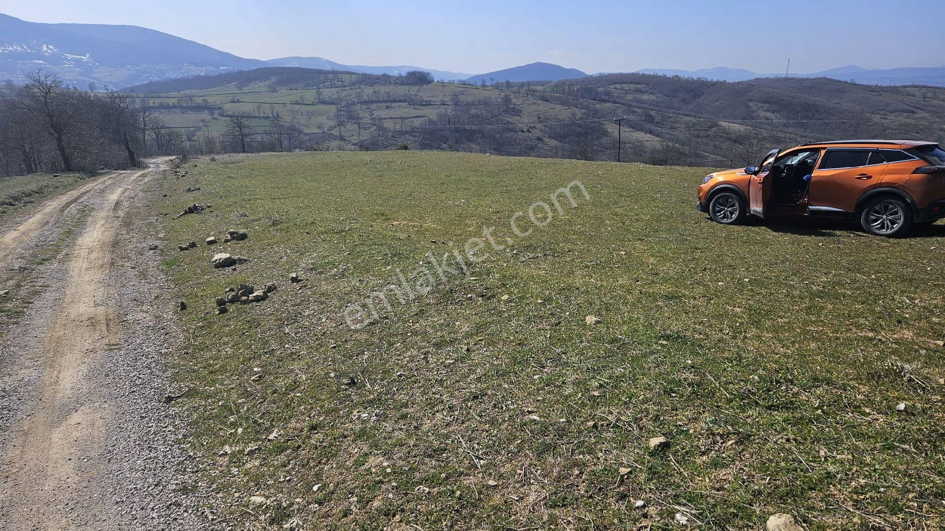 Kavak Demirci Satılık Tarla Samsun Kavak Demirci Köyü Satılık Tarla