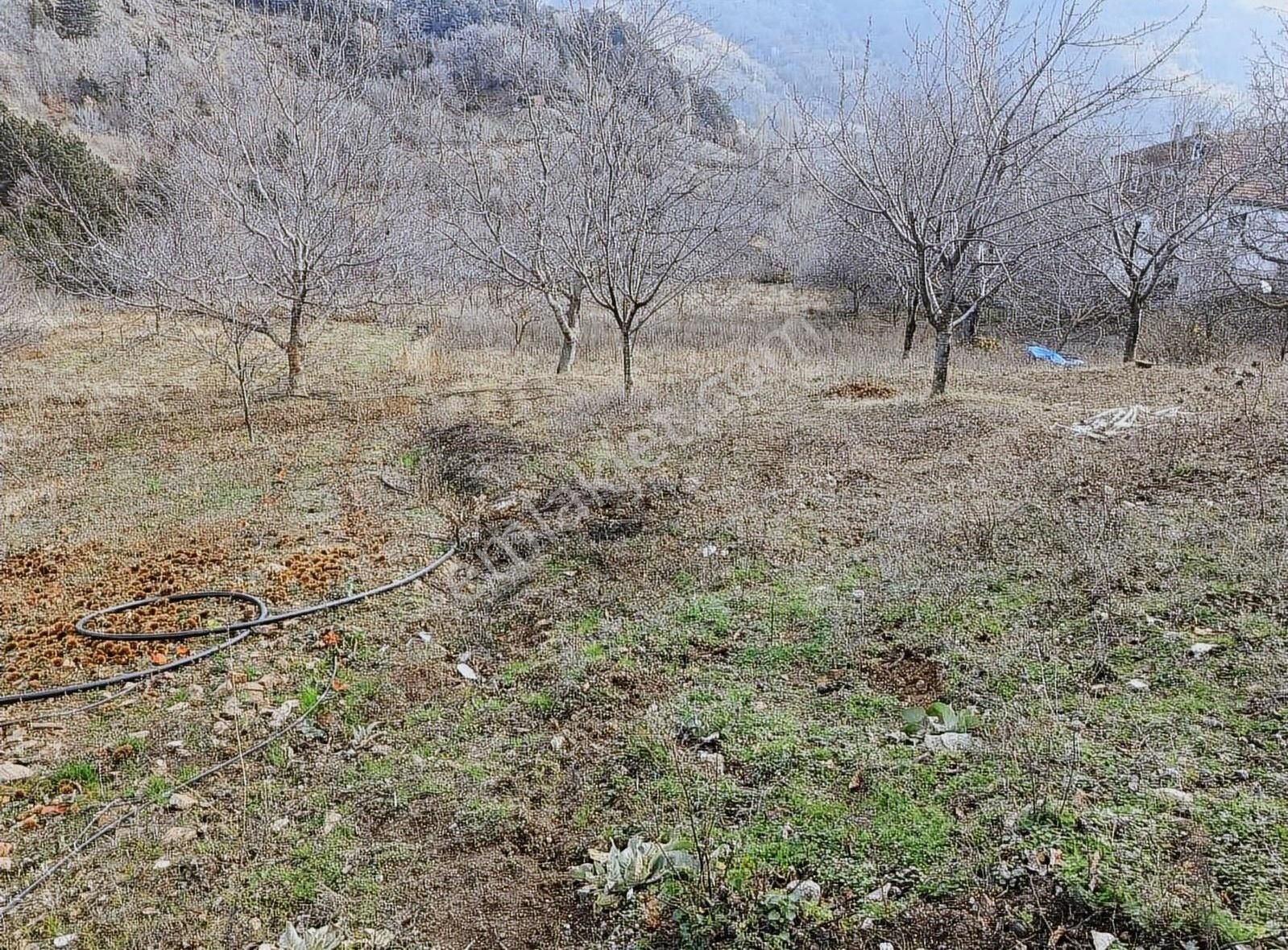 Osmangazi Kirazlı Satılık Villa İmarlı Hd'den Uludağ'da Manzaralı Arsa