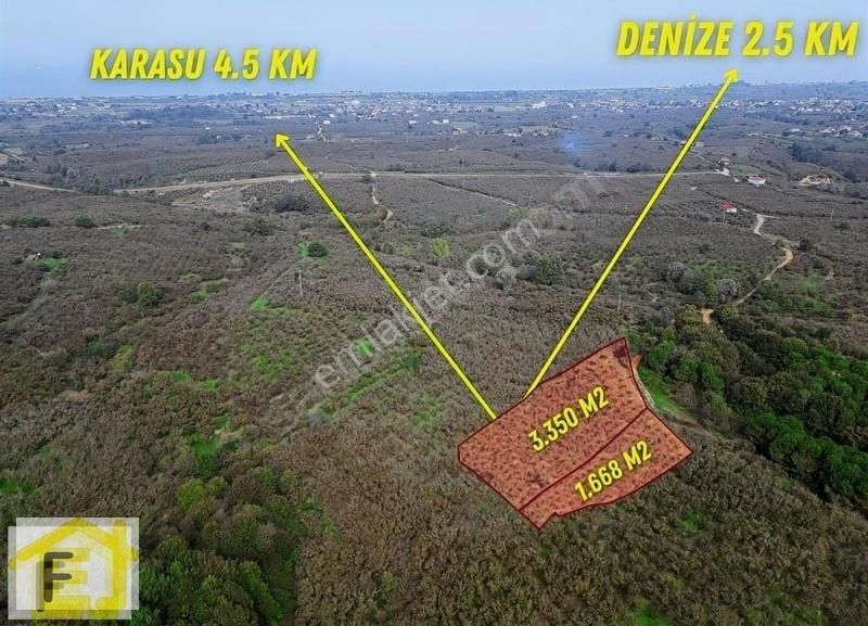 Karasu Karasu Satılık Bağ & Bahçe Filiz Emlak'tan Deniz Manzaralı 1.668 M2 Satılık Fındıklık