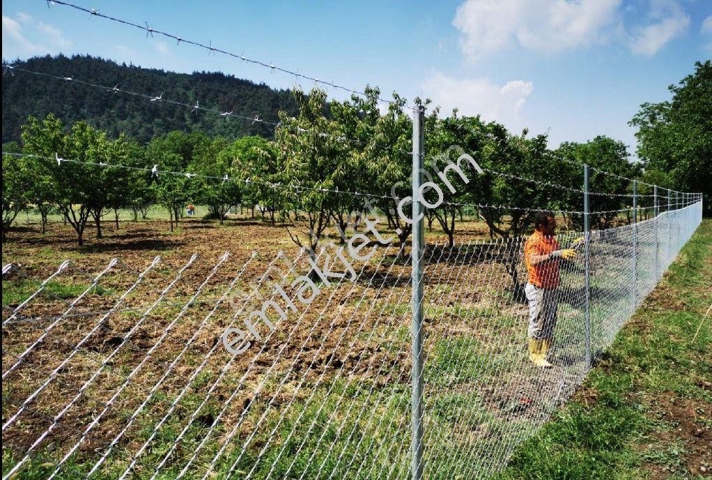 Bursa Kestel Gölcük'te Satılık Köye Yakın Kiraz Bahçesi - Görsel 8