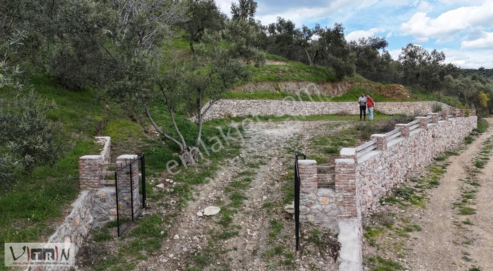 Vitrinden Yaylaönü De 2986 M2 Zeytinlik - Görsel 19