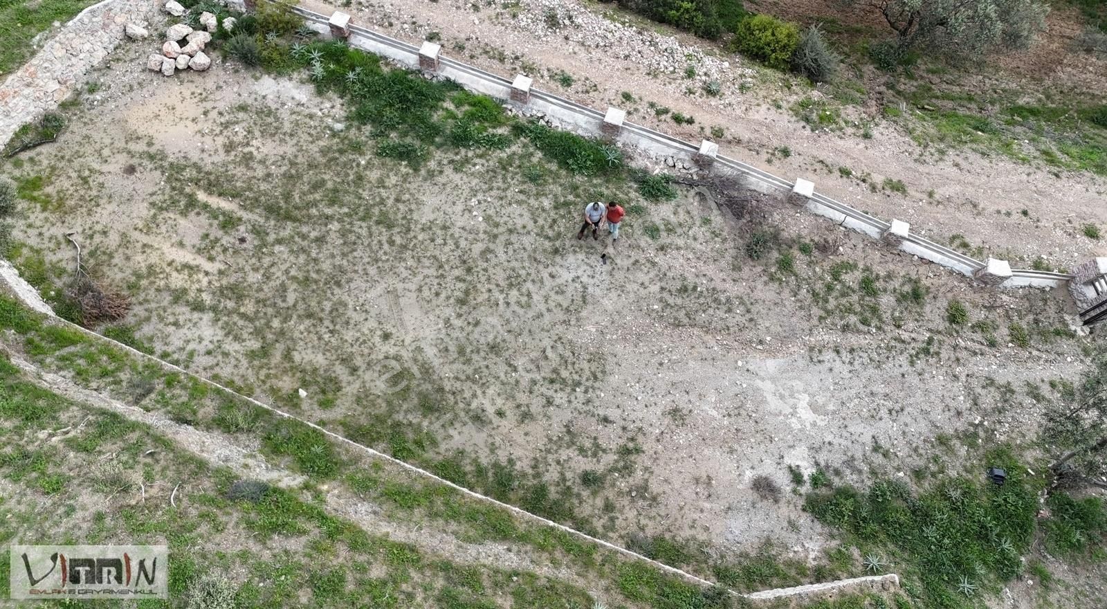 Vitrinden Yaylaönü De 2986 M2 Zeytinlik - Görsel 16