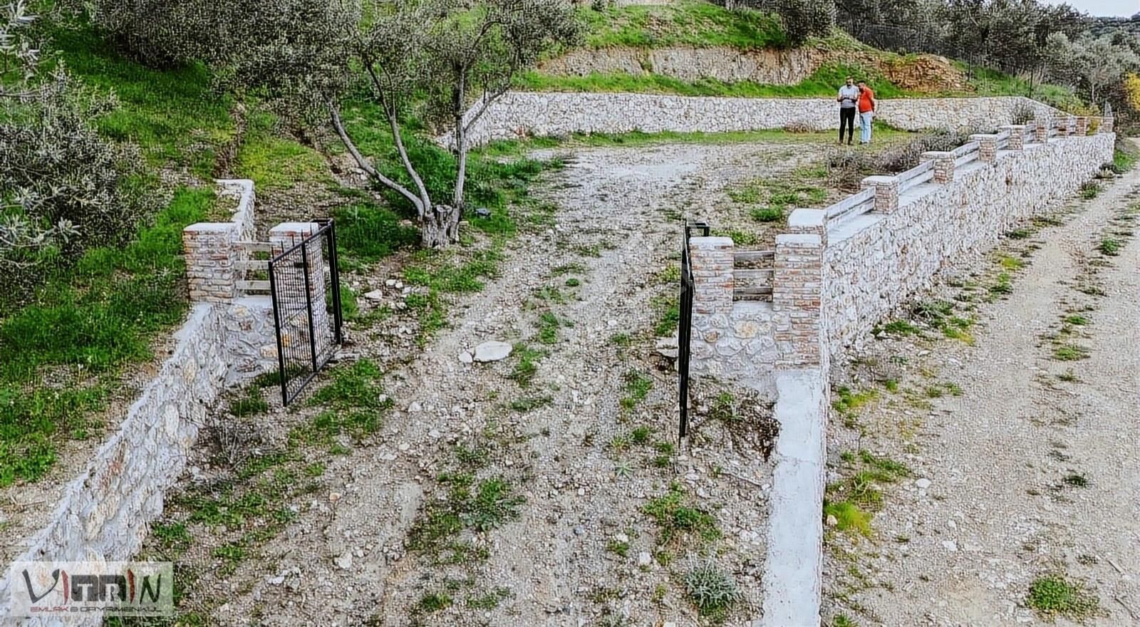 Vitrinden Yaylaönü De 2986 M2 Zeytinlik - Görsel 14