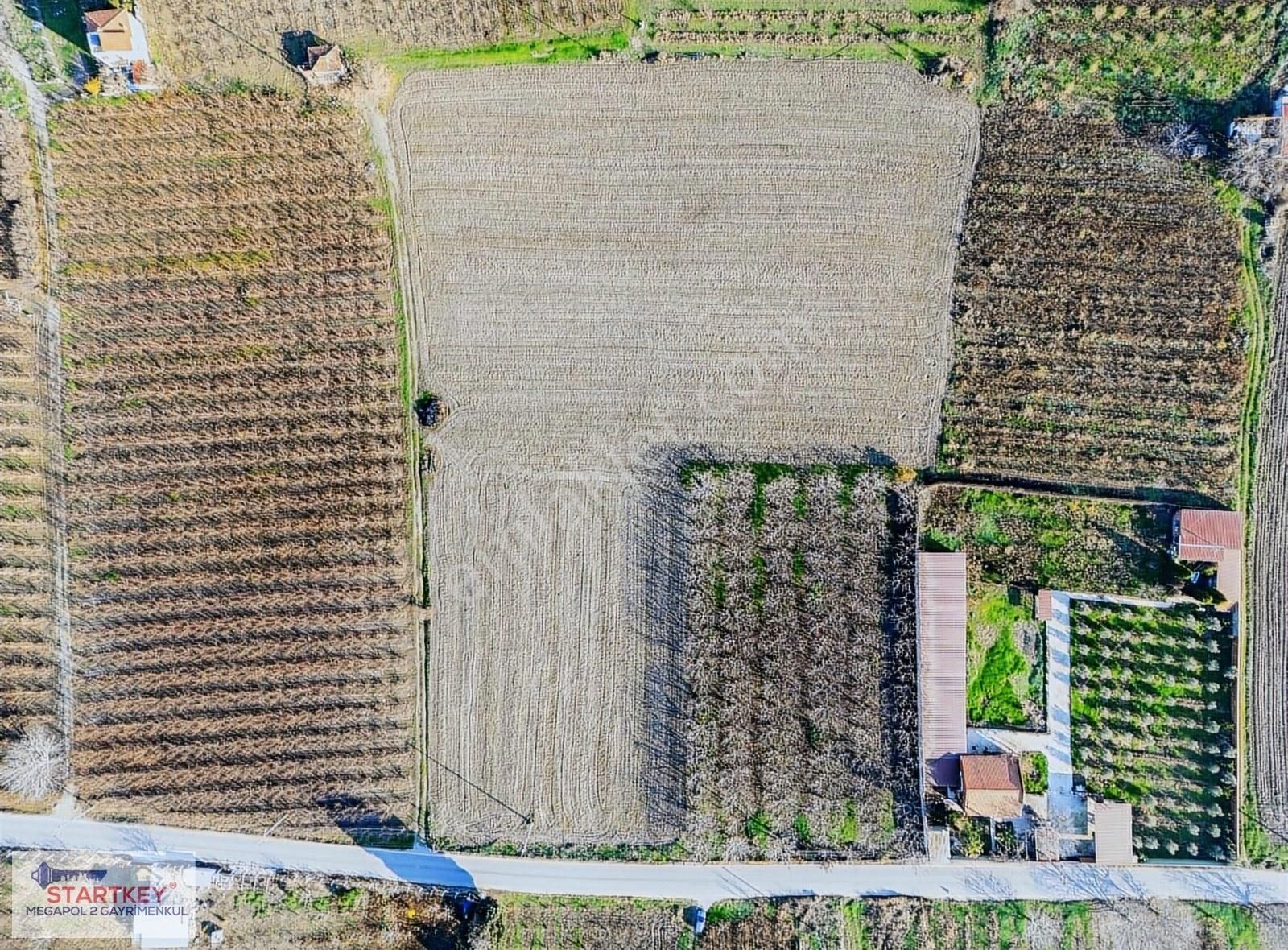 Kemalpaşa Ören 75.yıl Cumhuriyet Satılık Bağ & Bahçe Kemalpaşa Ören'de Ankara Asfaltına 150 Metre 14.735 M2 Arazi