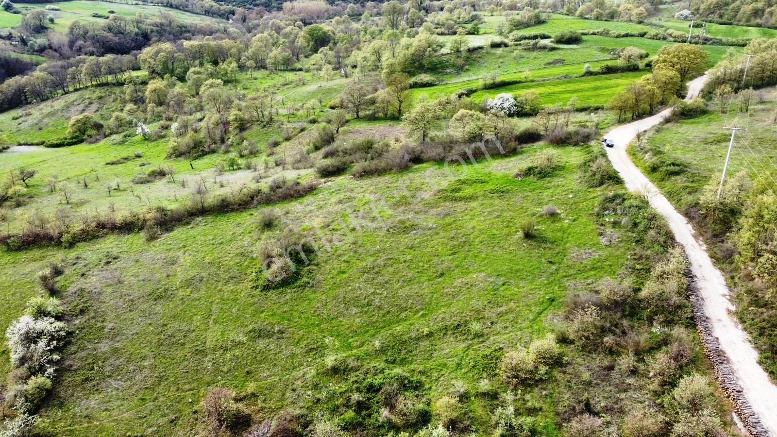 Çan Okçular Köyü Satılık Tarla Biga-çanakkale Yoluna 650 Metre Eğimsiz 3.5 Dönüm Satılık Arsa