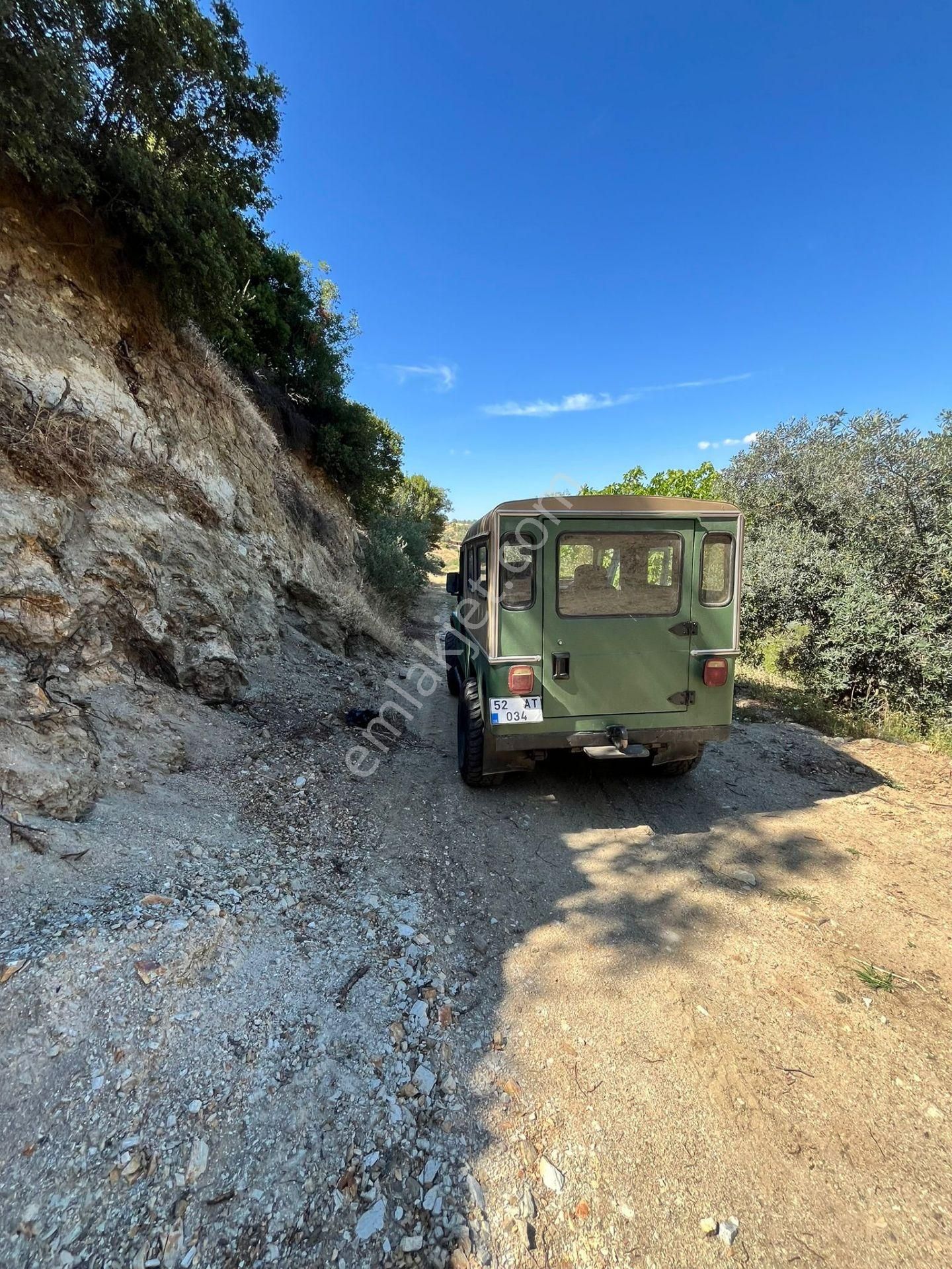 Egelimden Başaranda Mükemmel Konumda 12 Dönüm Fırsat Satılık Zeytin Ve İncir Bahçesi - Görsel 32