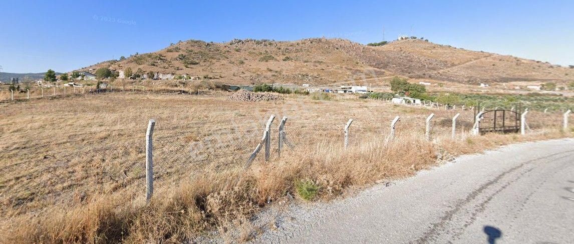 Turhan'dan Şehir Merkezine Çok Yakın Ve Asfalta Sıfır Tarla - Görsel 5