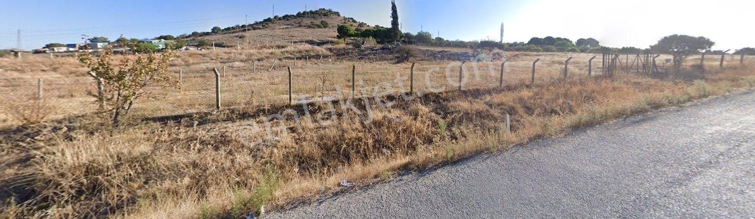 Turhan'dan Şehir Merkezine Çok Yakın Ve Asfalta Sıfır Tarla - Görsel 2