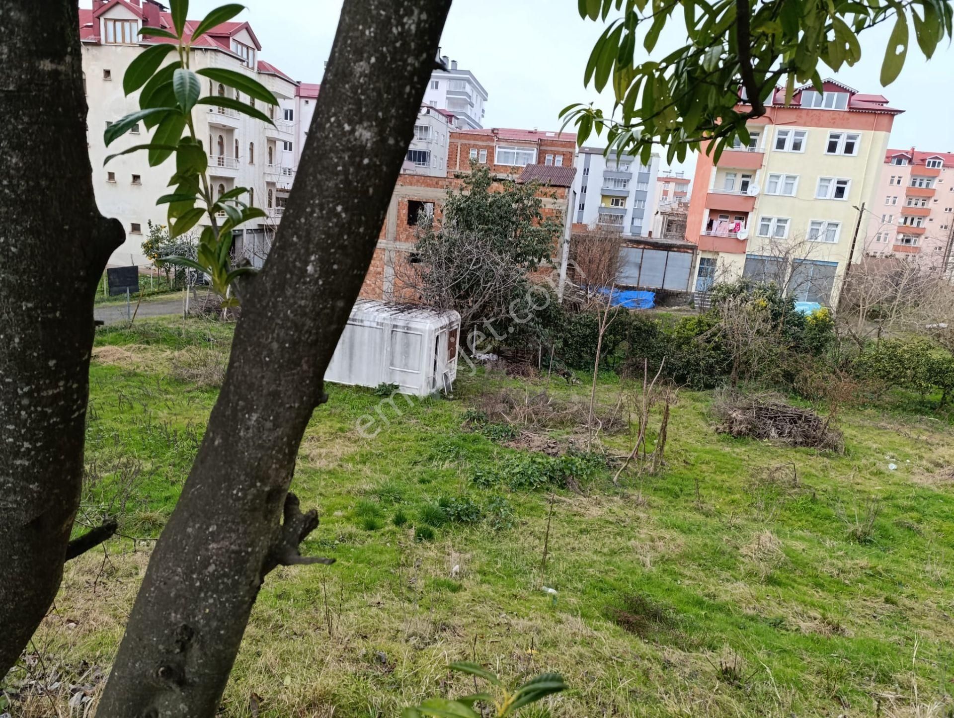 Trabzon Vakfıkebir Satılık Arazi Hacıköy Mahallesi Sahilde 200 M2 Arsa