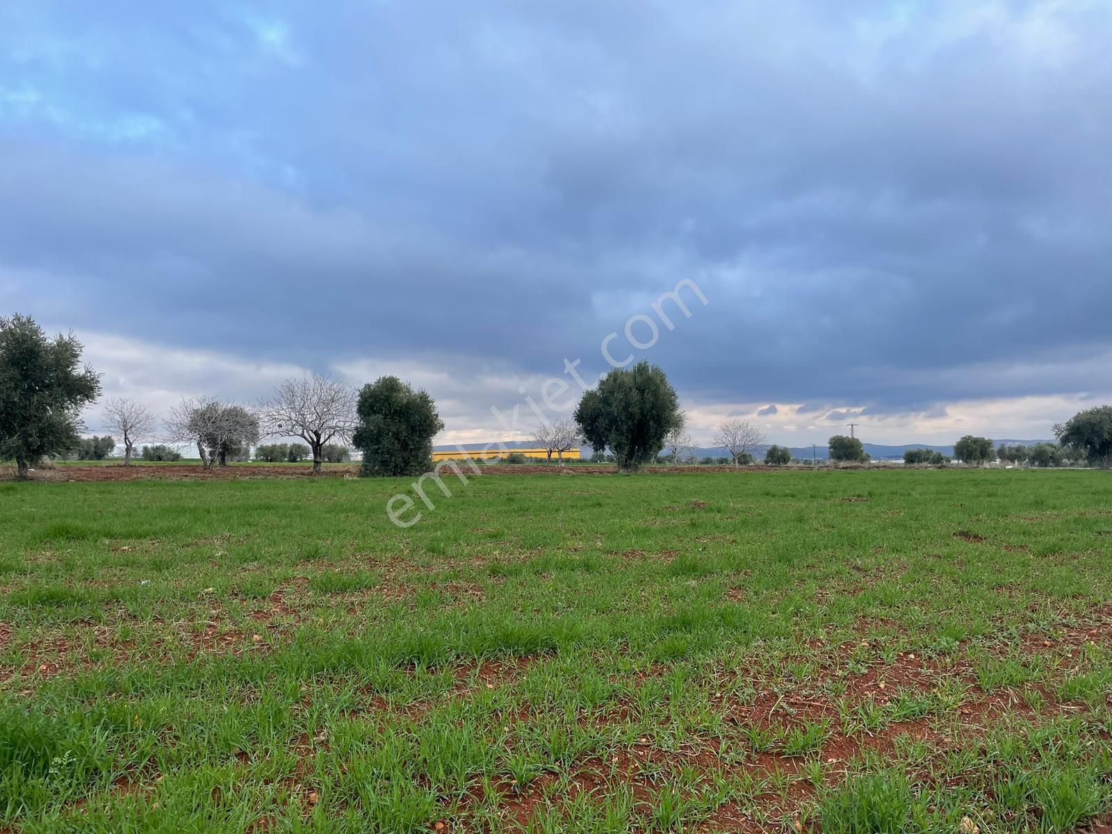 Sanayi Tesis Alanı Olarak Açılan Bölgede Olan Arsamız Satılıktır - Görsel 6