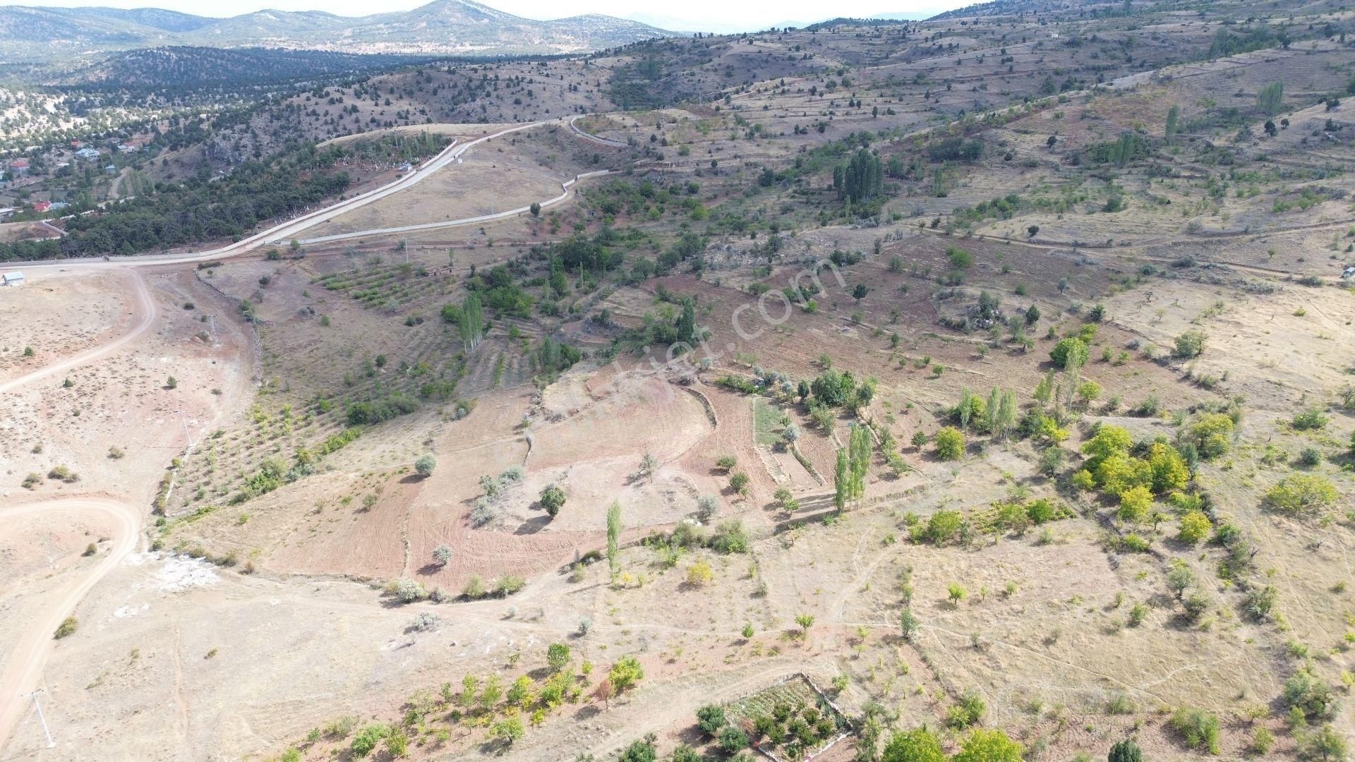 Bozkır Hacılar Satılık Tarla Konya / Bozkır / Hacılar Mahallesinde 771 M² Müstakil Bağ