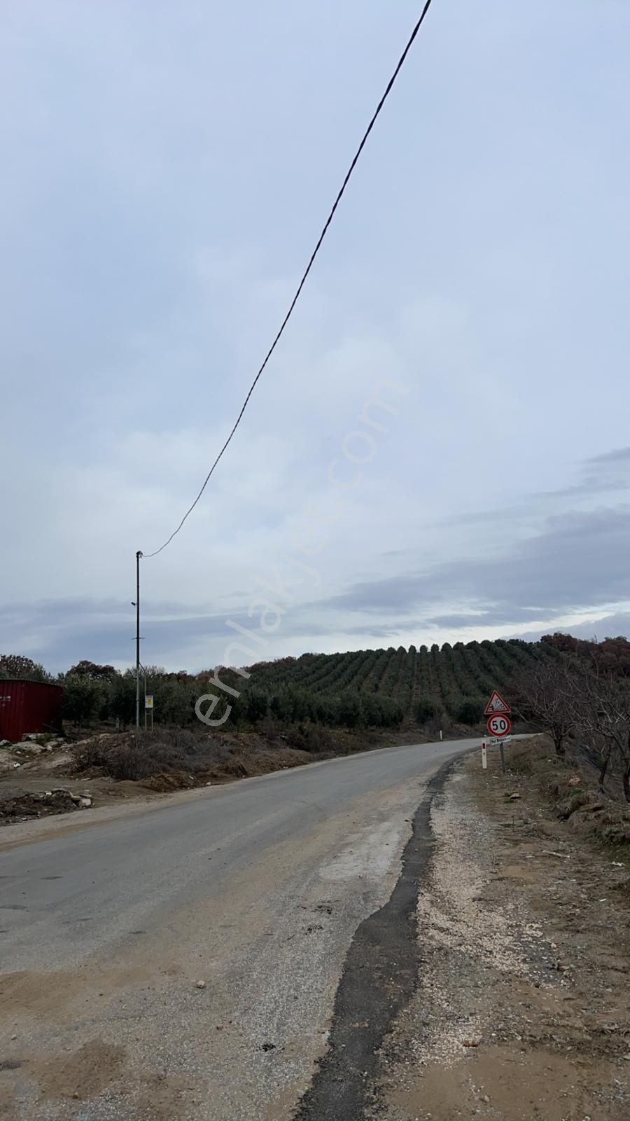 Salihlide Satılık Zeytinlik - Görsel 19