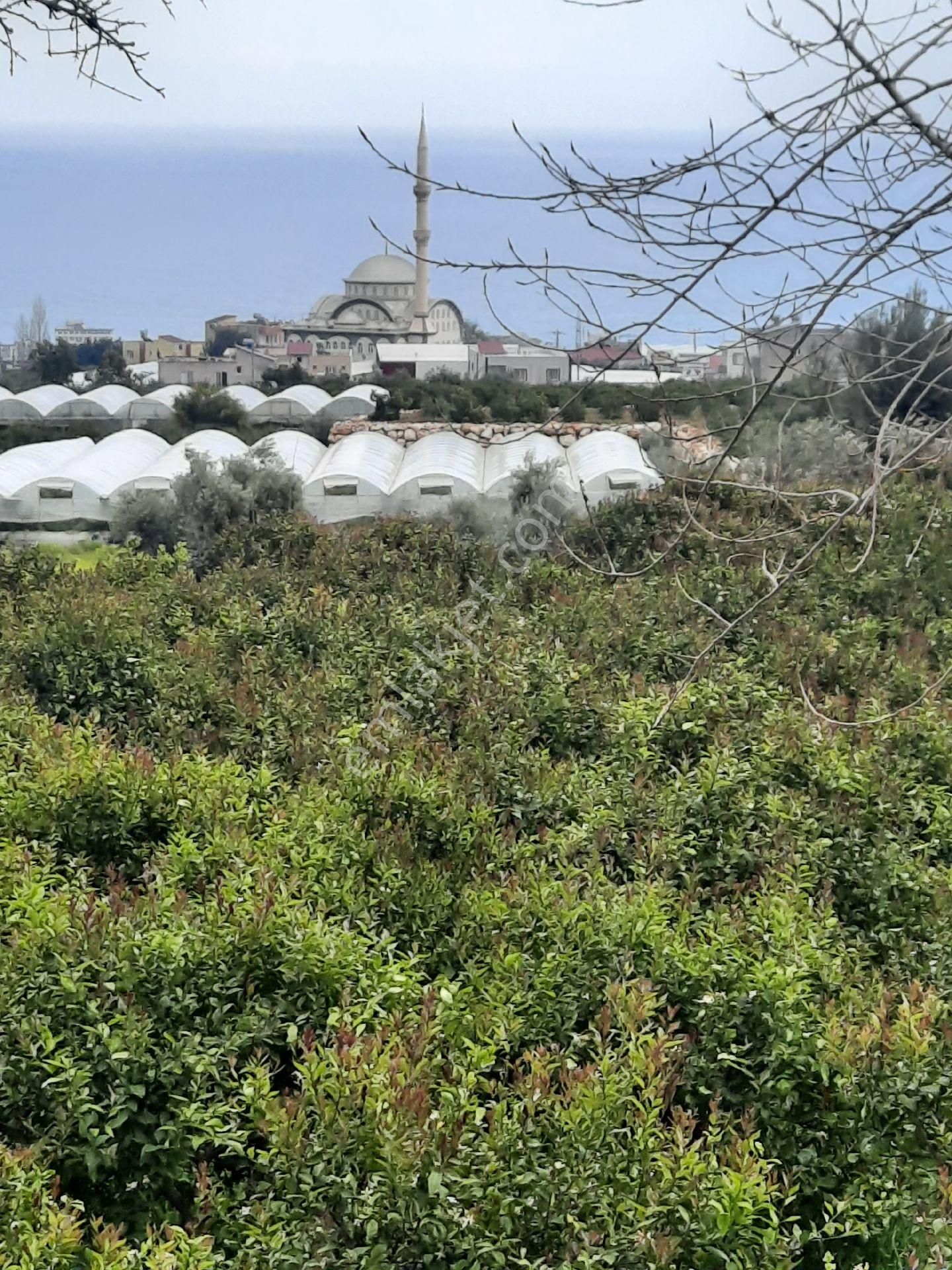 Erdemli Kocahasanlı Satılık Bağ & Bahçe Deniz Ve Şehir Manzaralı Satılık